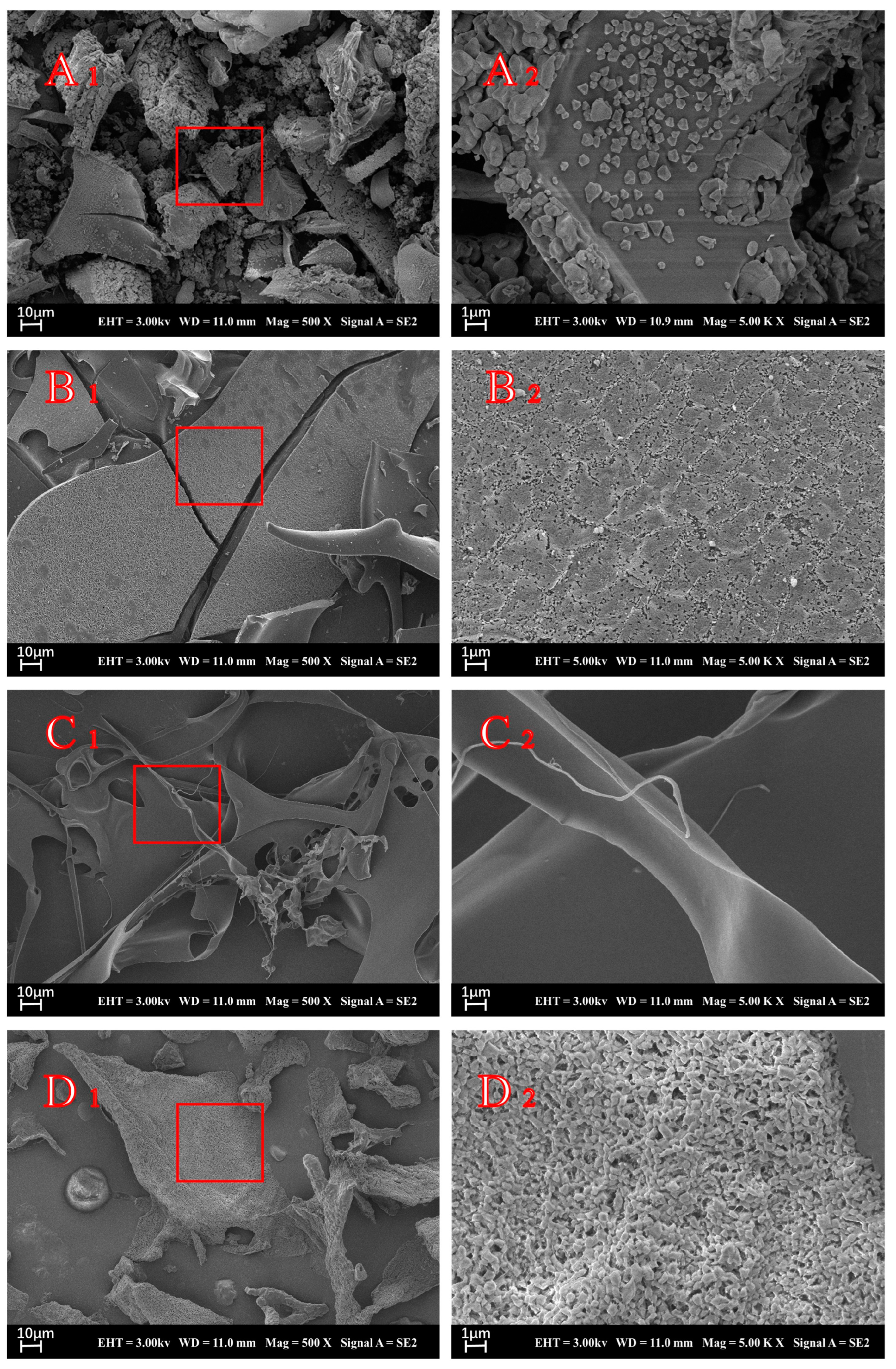 Polymers 15 02648 g002 Polymers 15 02648 g002
