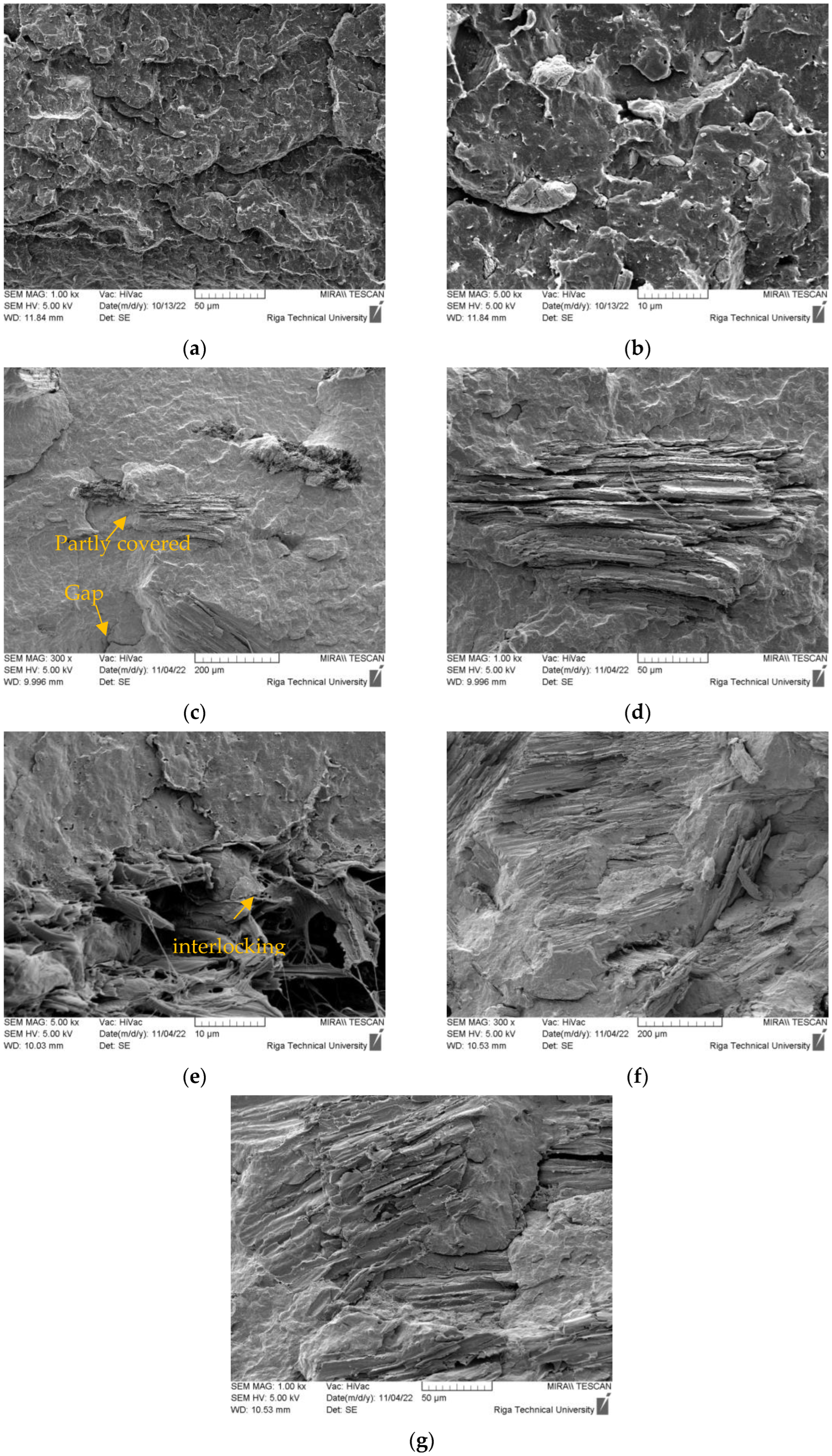Polymers 15 02672 g003