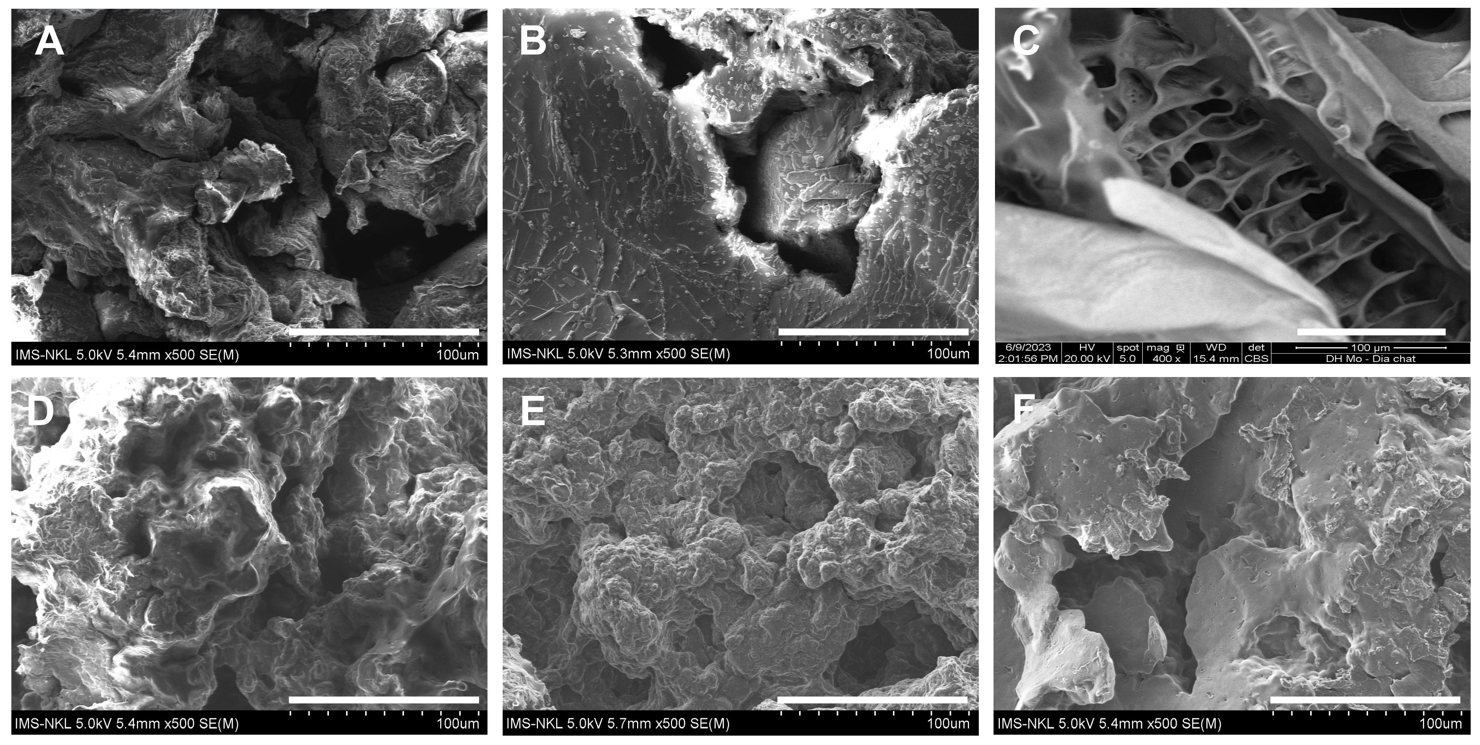 Polymers 15 02693 g007 Polymers 15 02693 g007