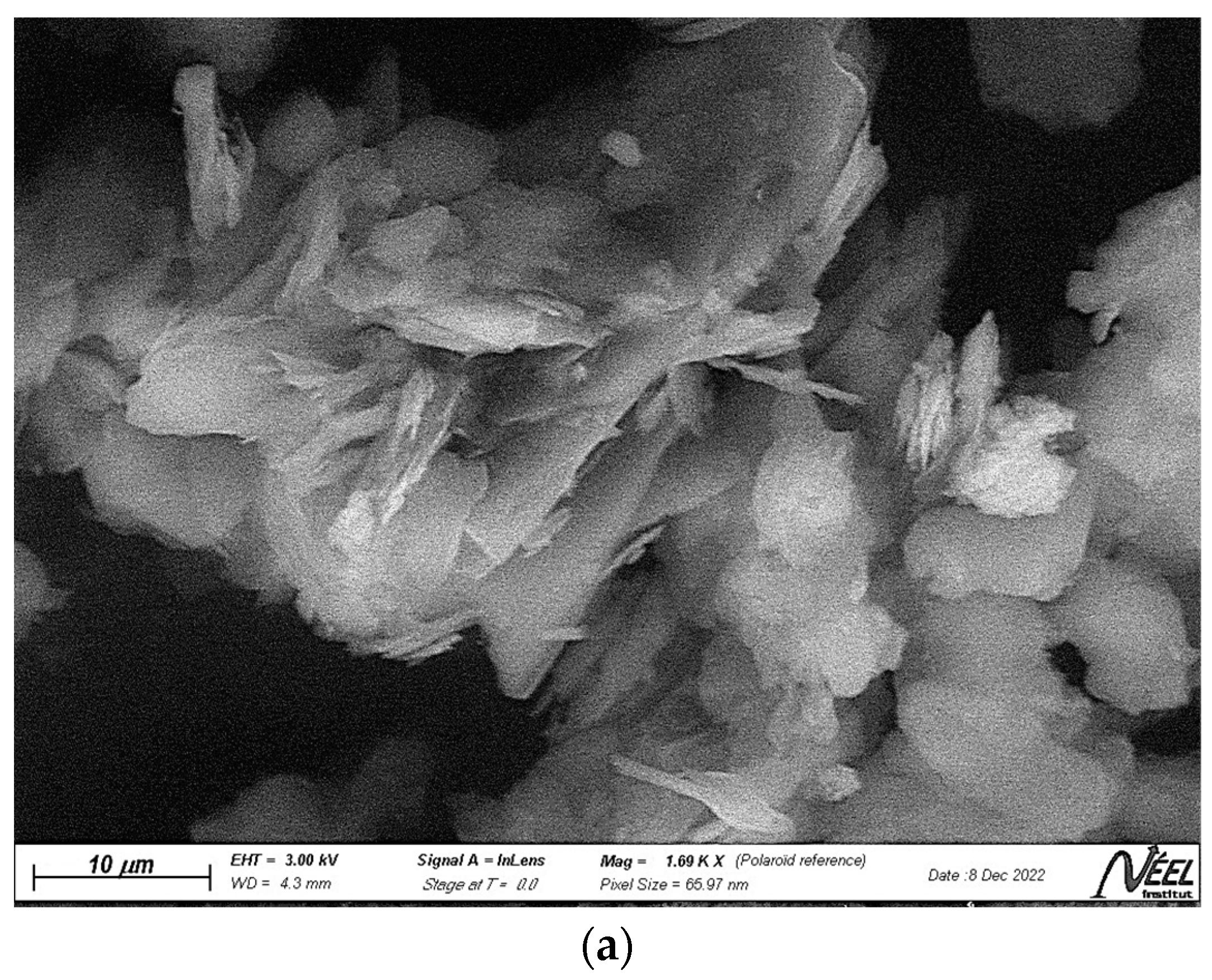 Polymers 15 02697 g003a Polymers 15 02697 g003a