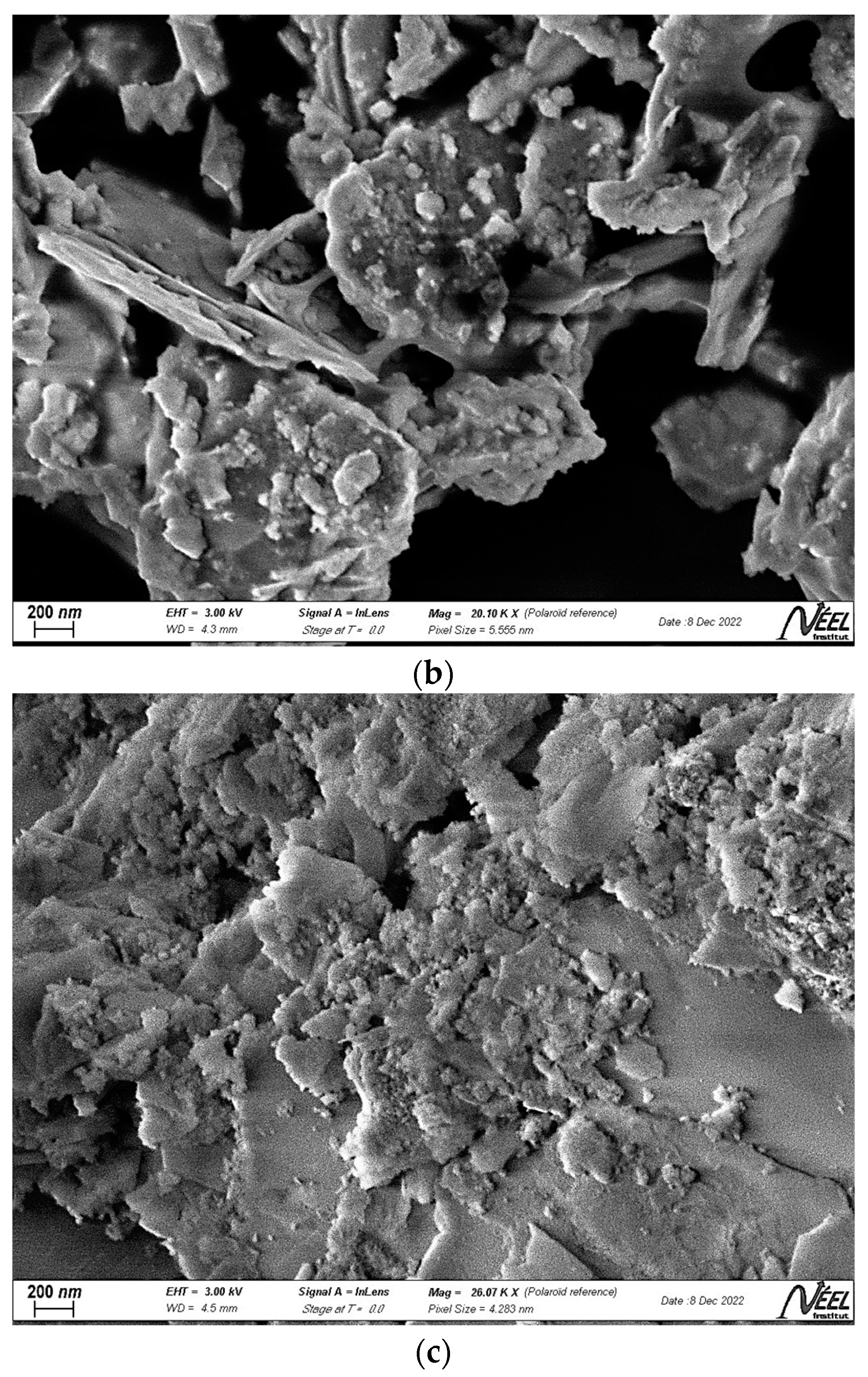 Polymers 15 02697 g003b Polymers 15 02697 g003b