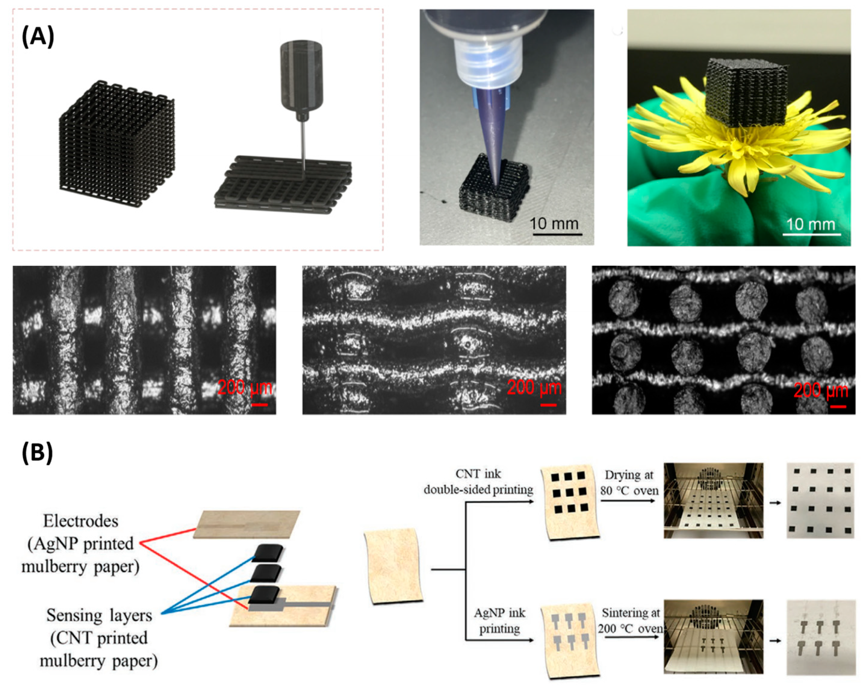 Polymers 15 02699 g005