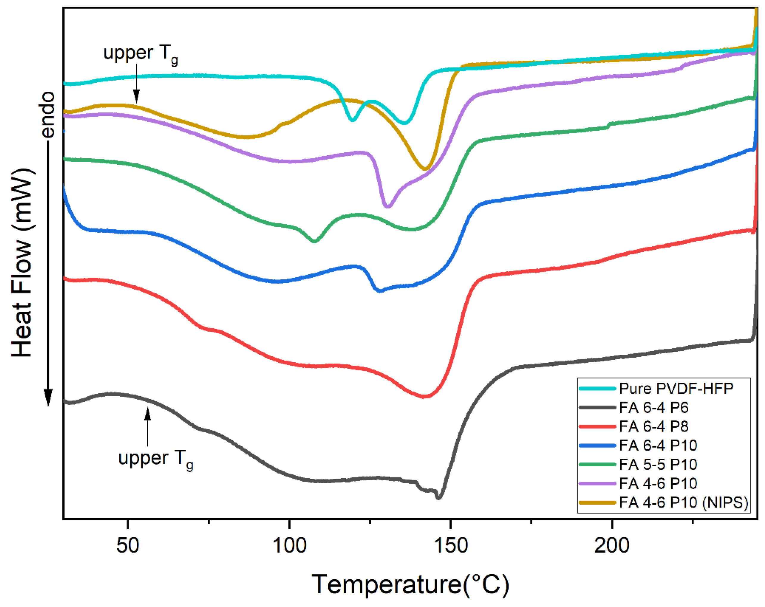 Polymers 15 02706 g006