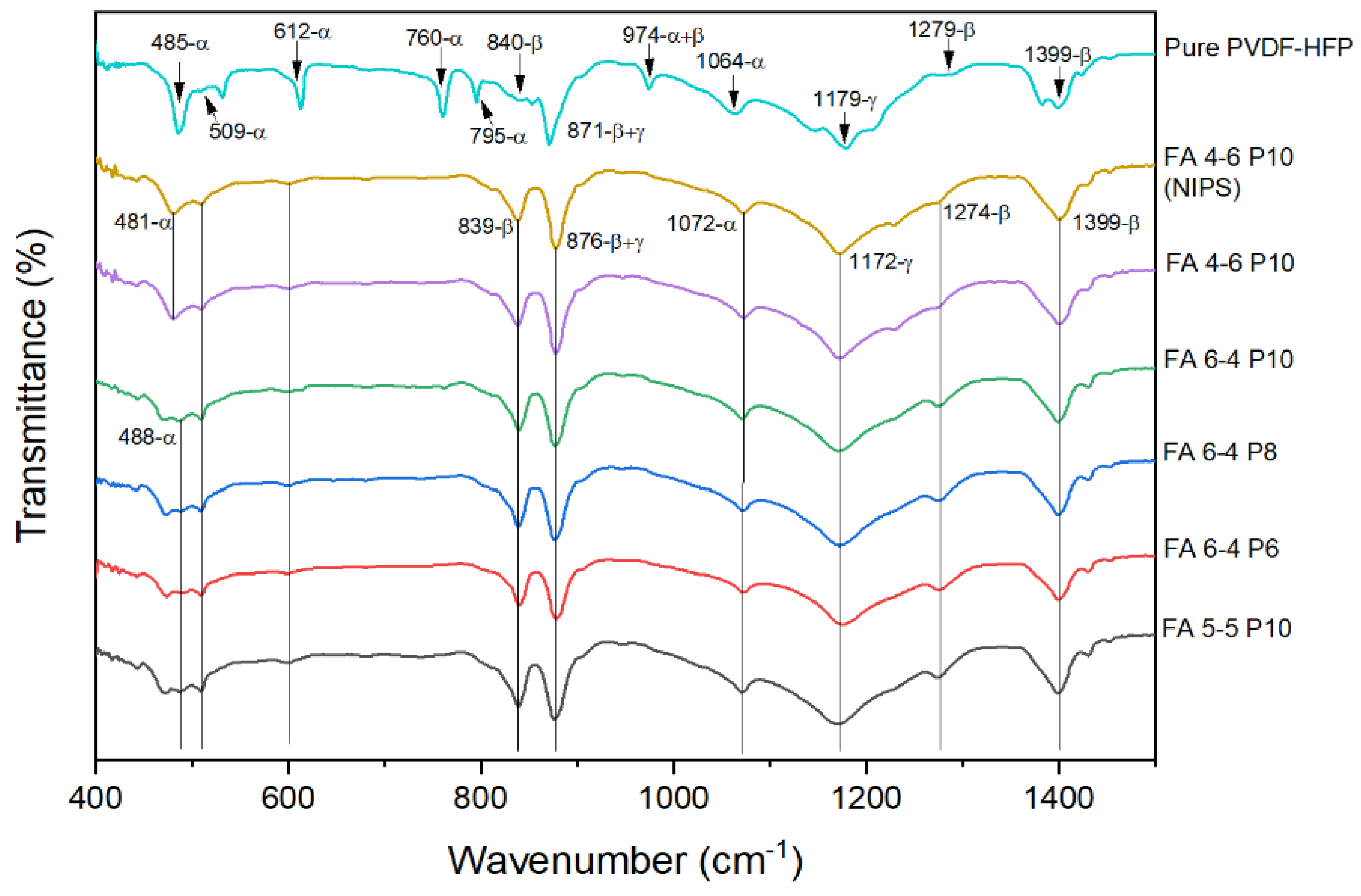 Polymers 15 02706 g007