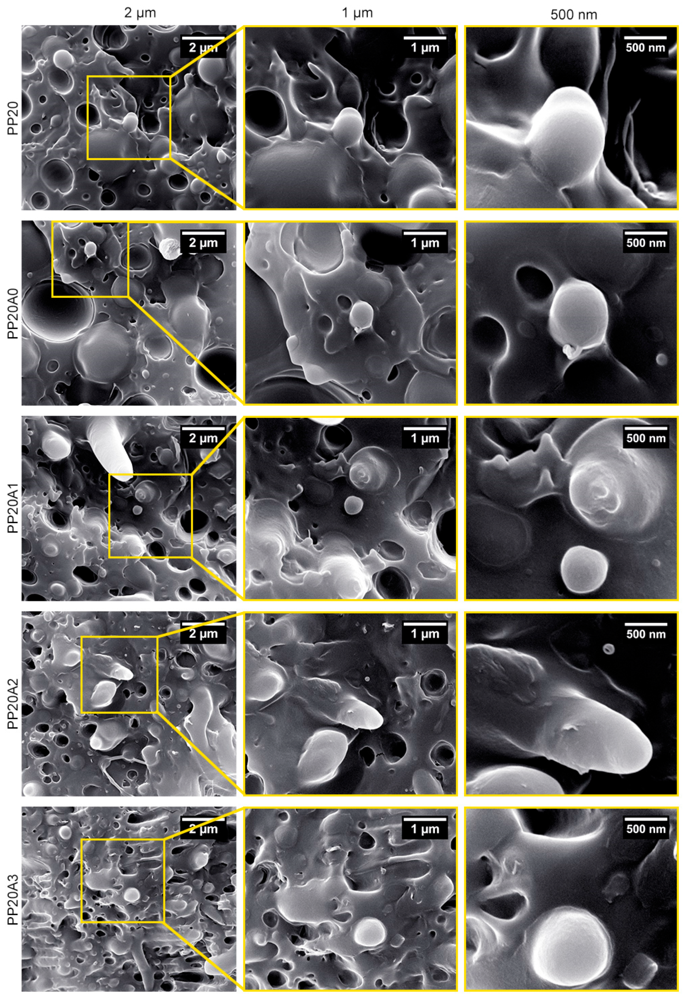 Polymers 15 02708 g002