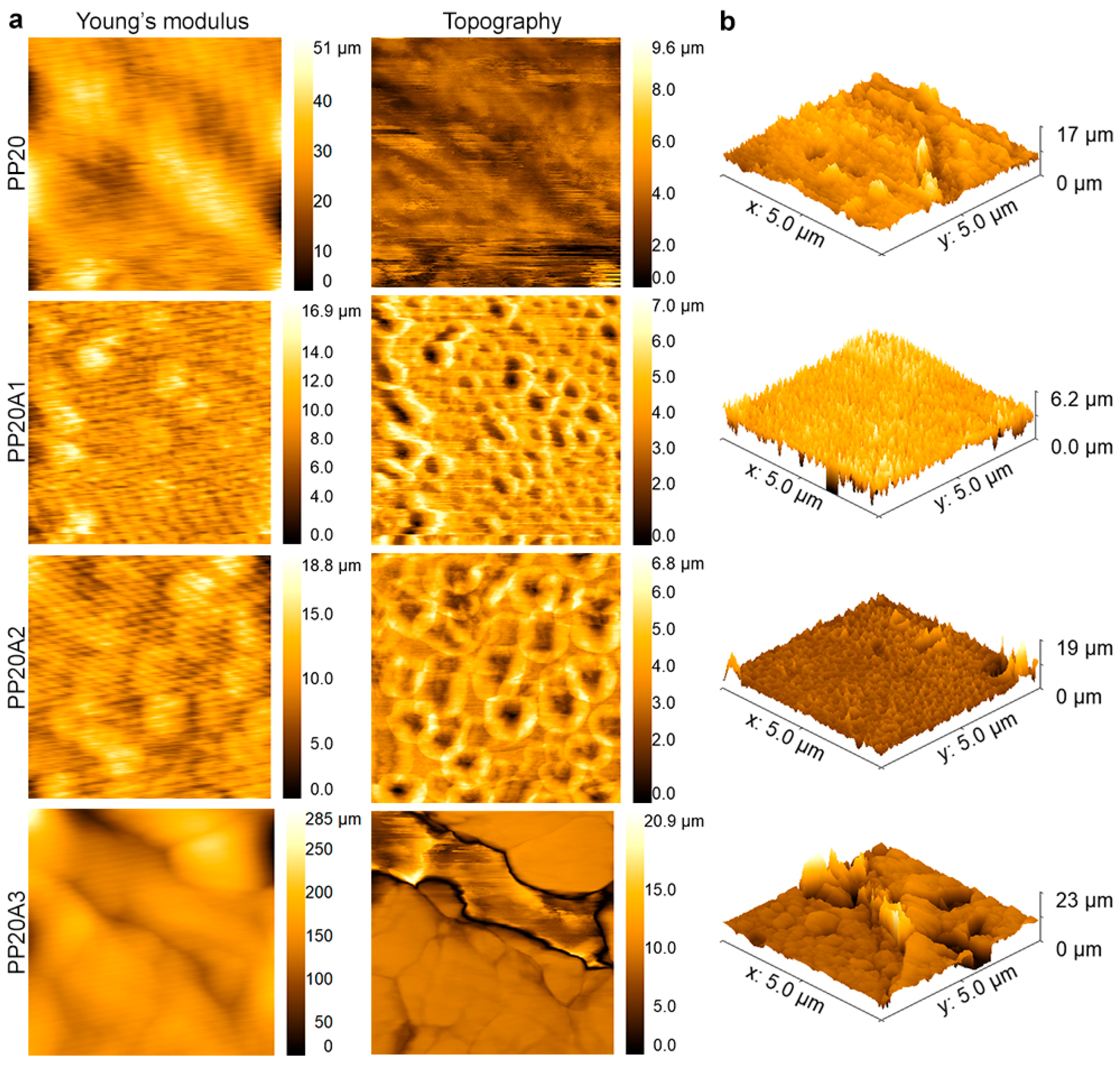 Polymers 15 02708 g004