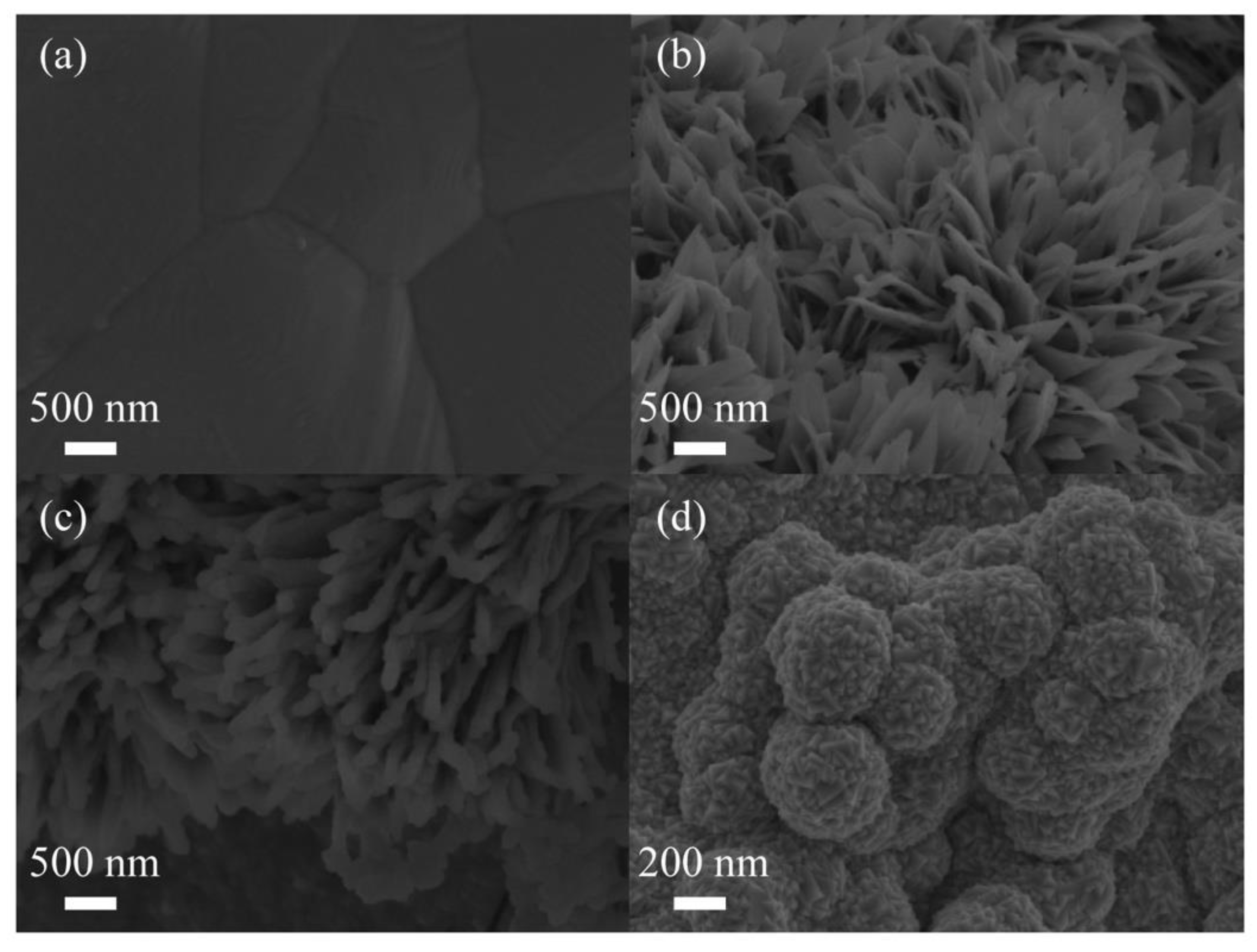 Polymers 15 02726 g003 Polymers 15 02726 g003