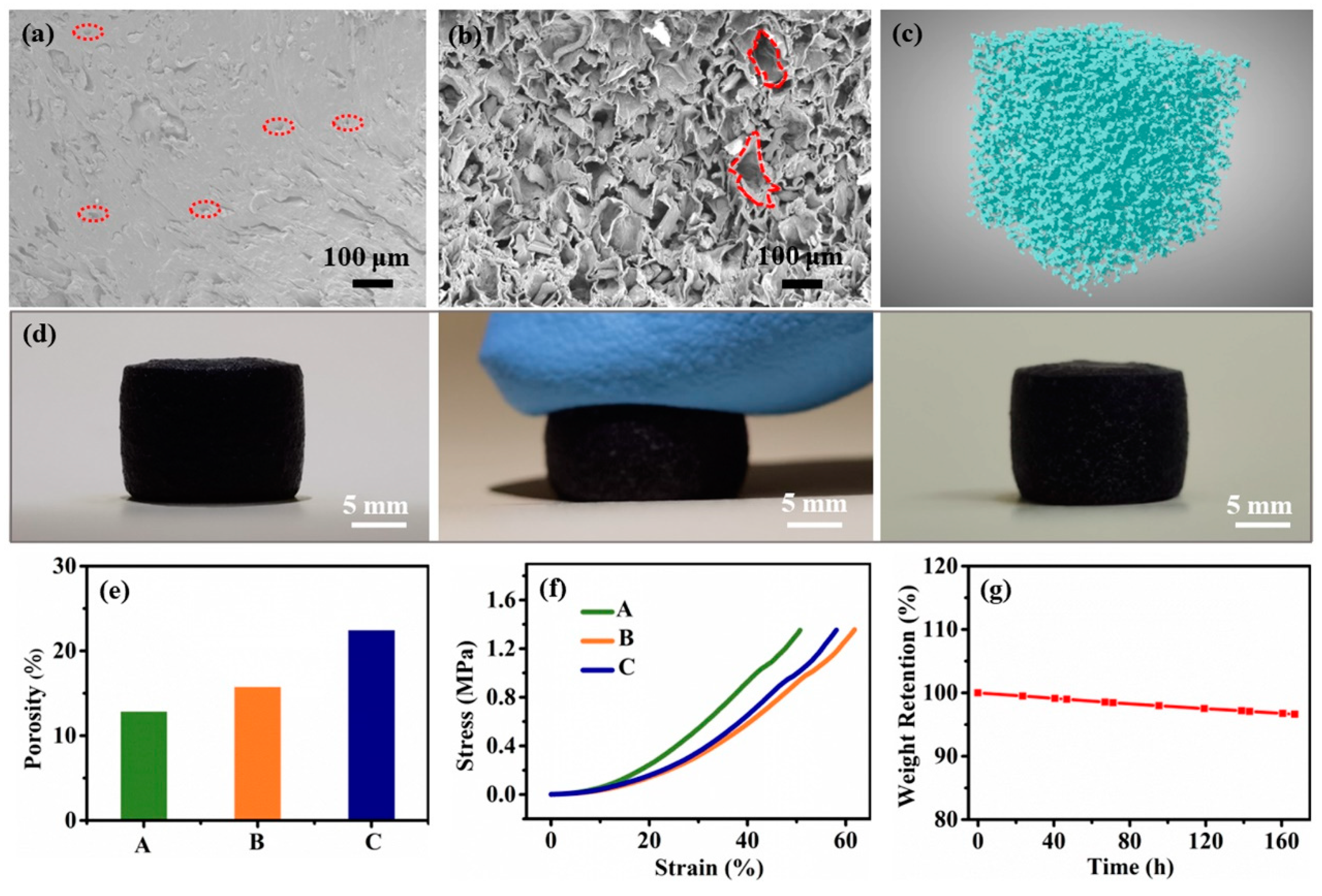 Polymers 15 02736 g002