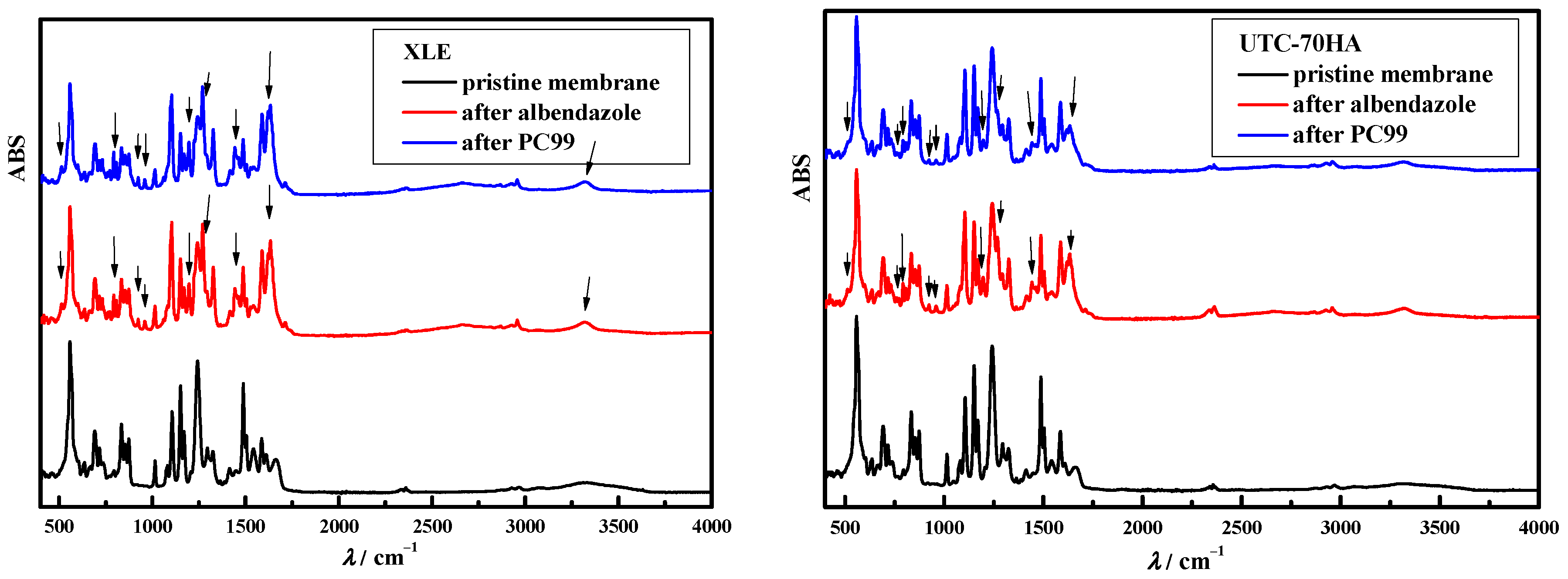 Polymers 15 02745 g002b Polymers 15 02745 g002b
