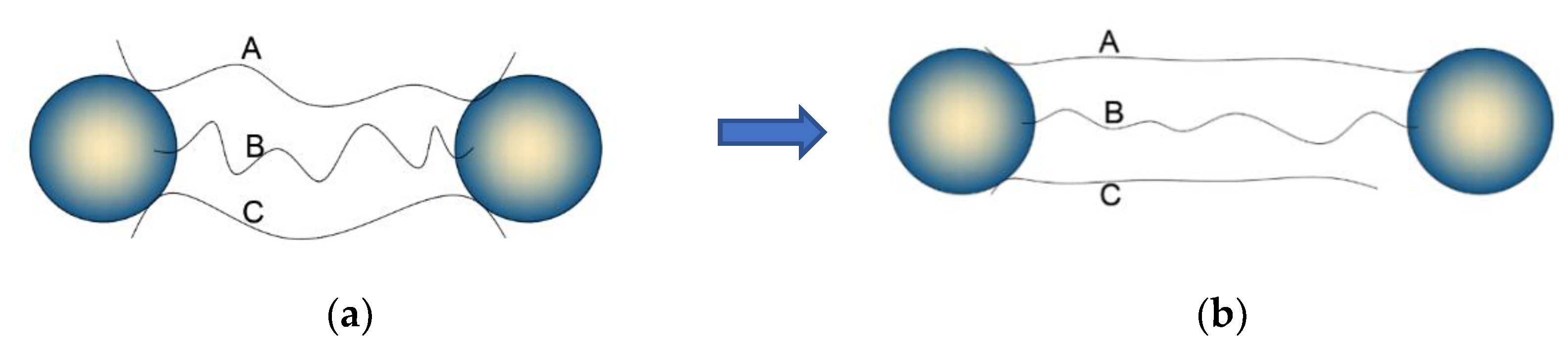 Polymers 15 02746 g007