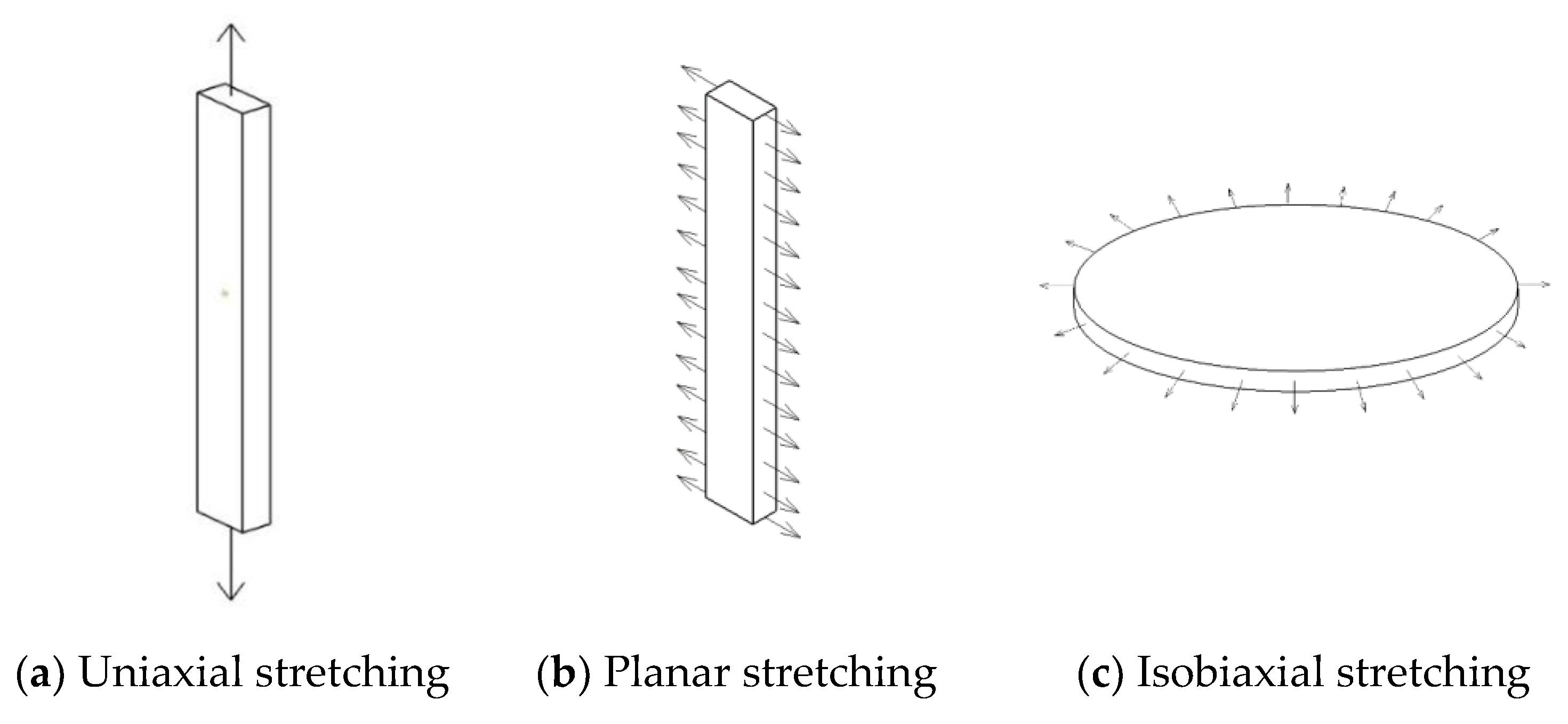 Polymers 15 02746 g009