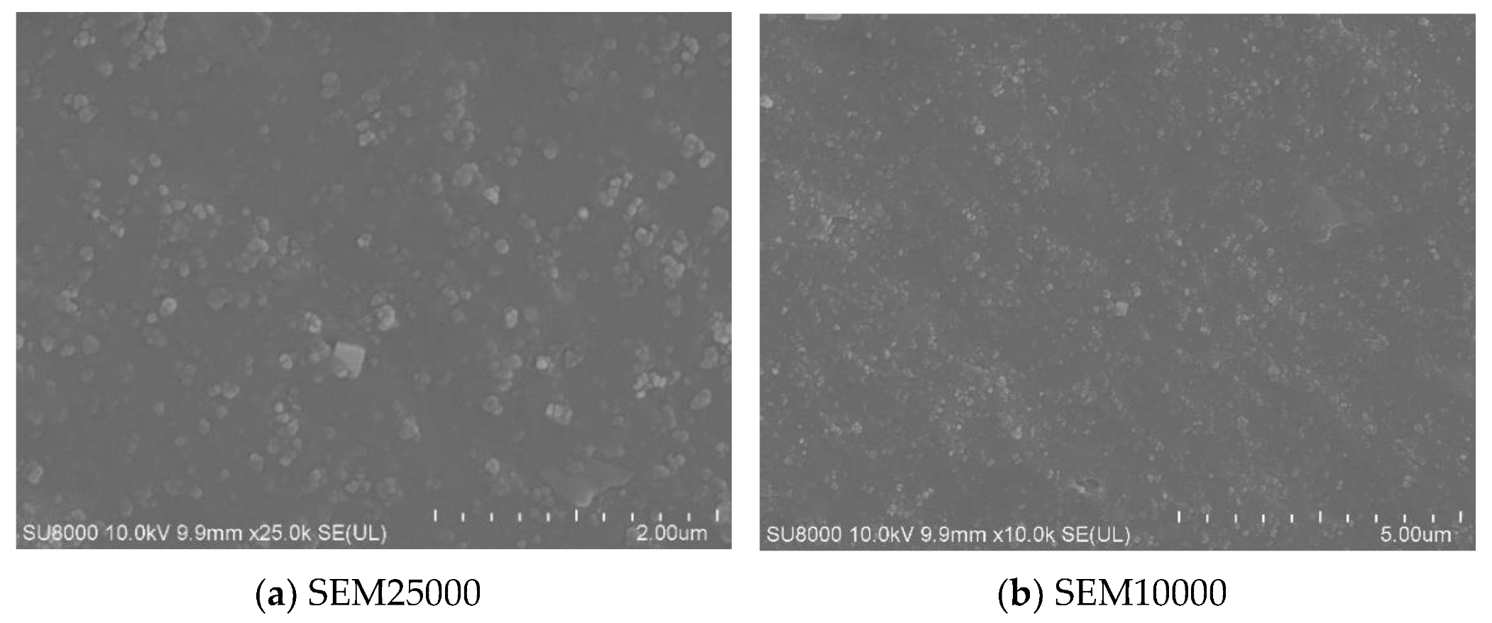 Polymers 15 02746 g031
