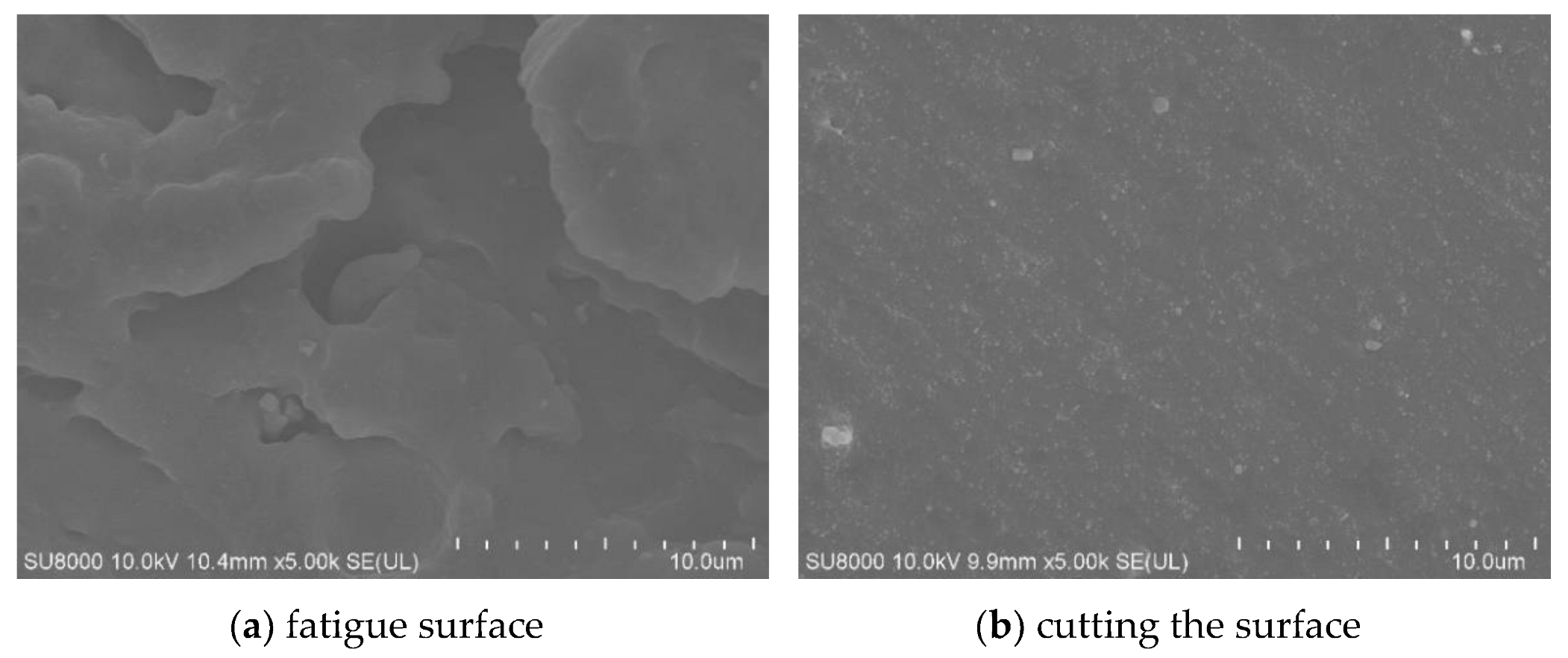 Polymers 15 02746 g032