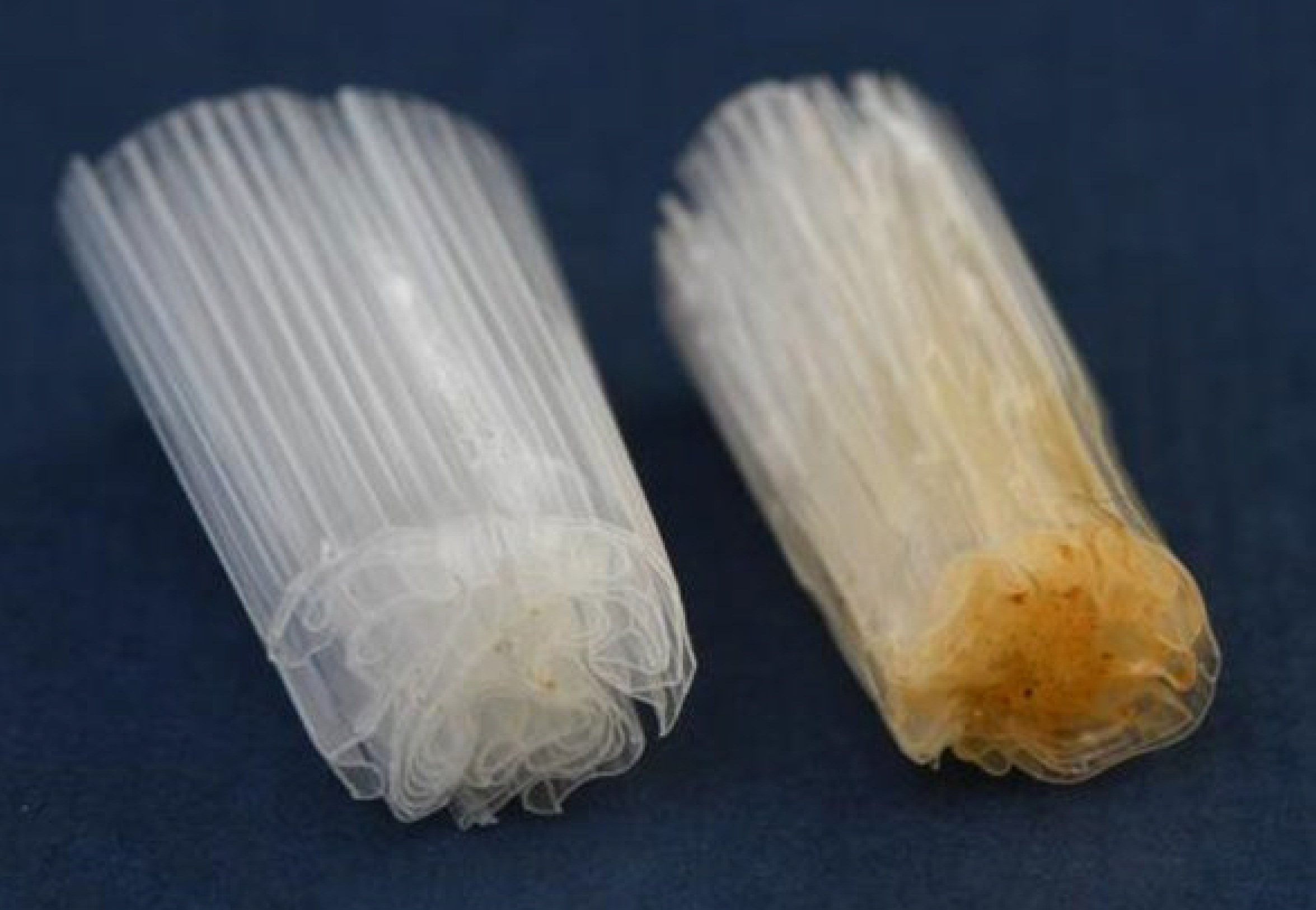 Polymers 15 02751 g003