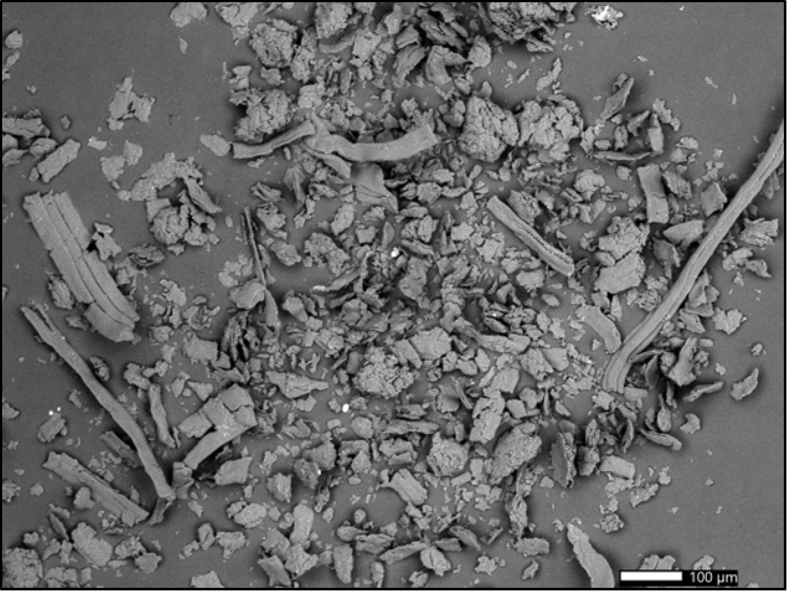Polymers 15 02751 g012