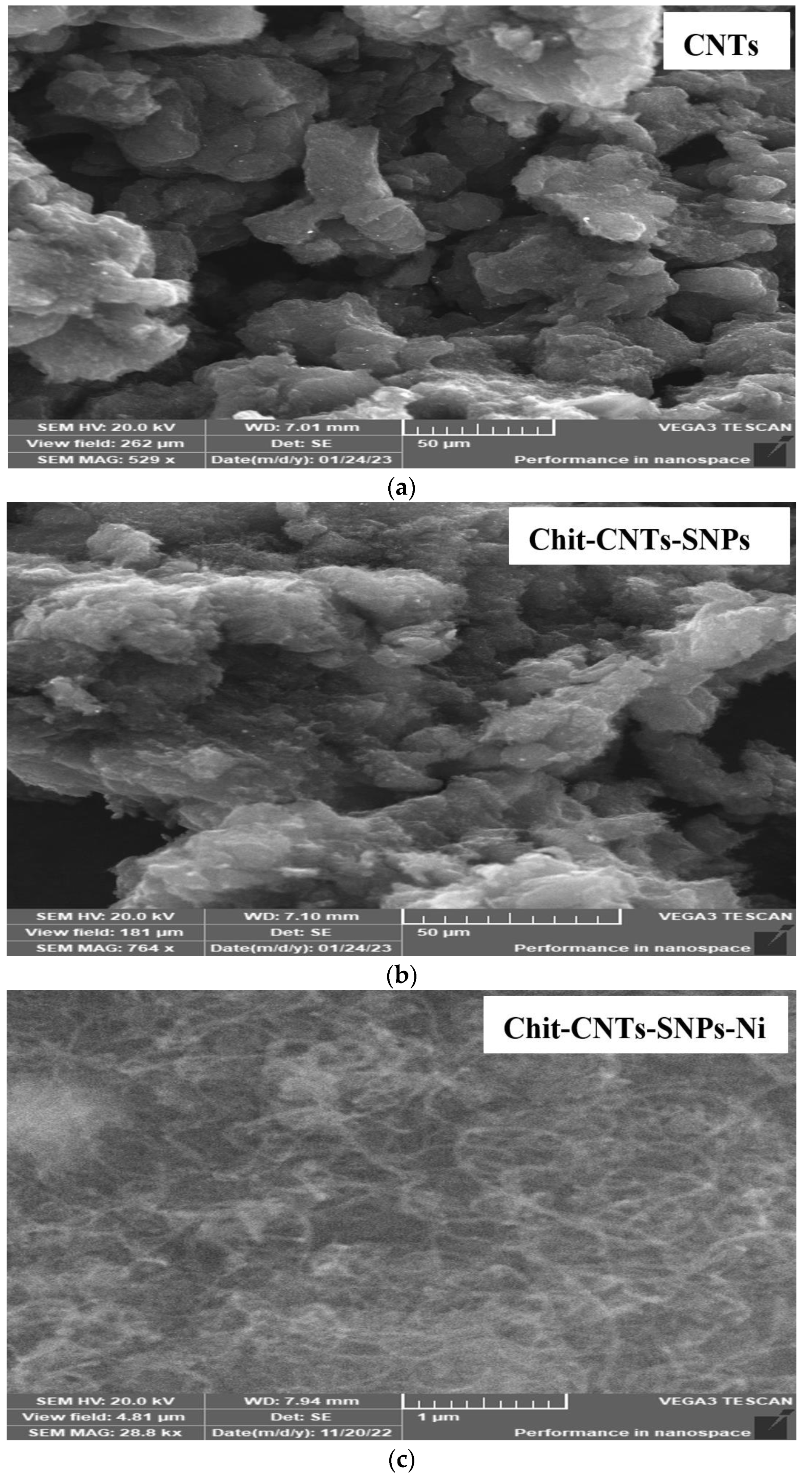 Polymers 15 02759 g006