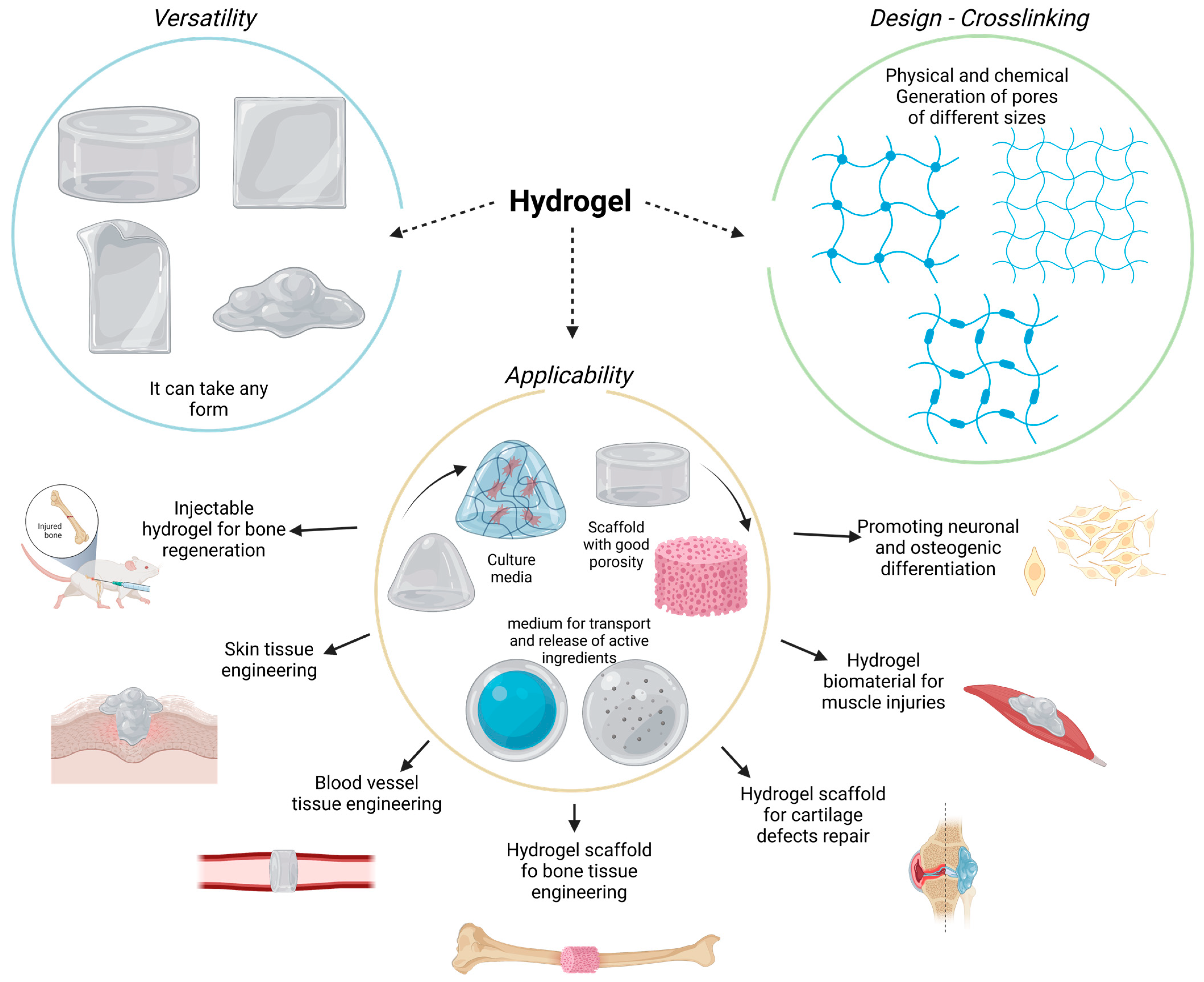 Polymers 15 02762 g001