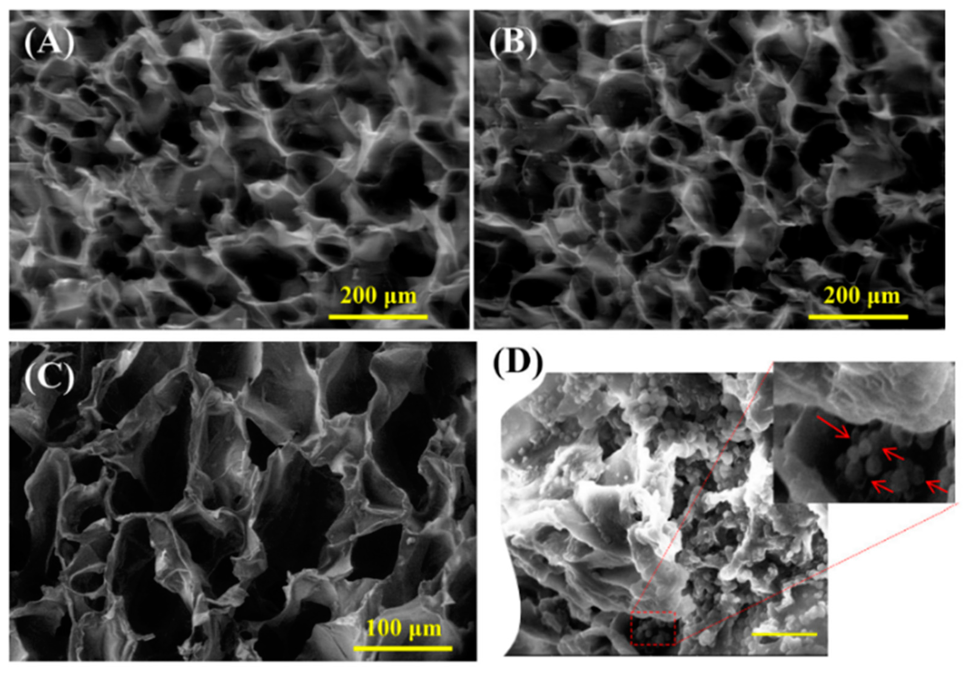 Polymers 15 02762 g005