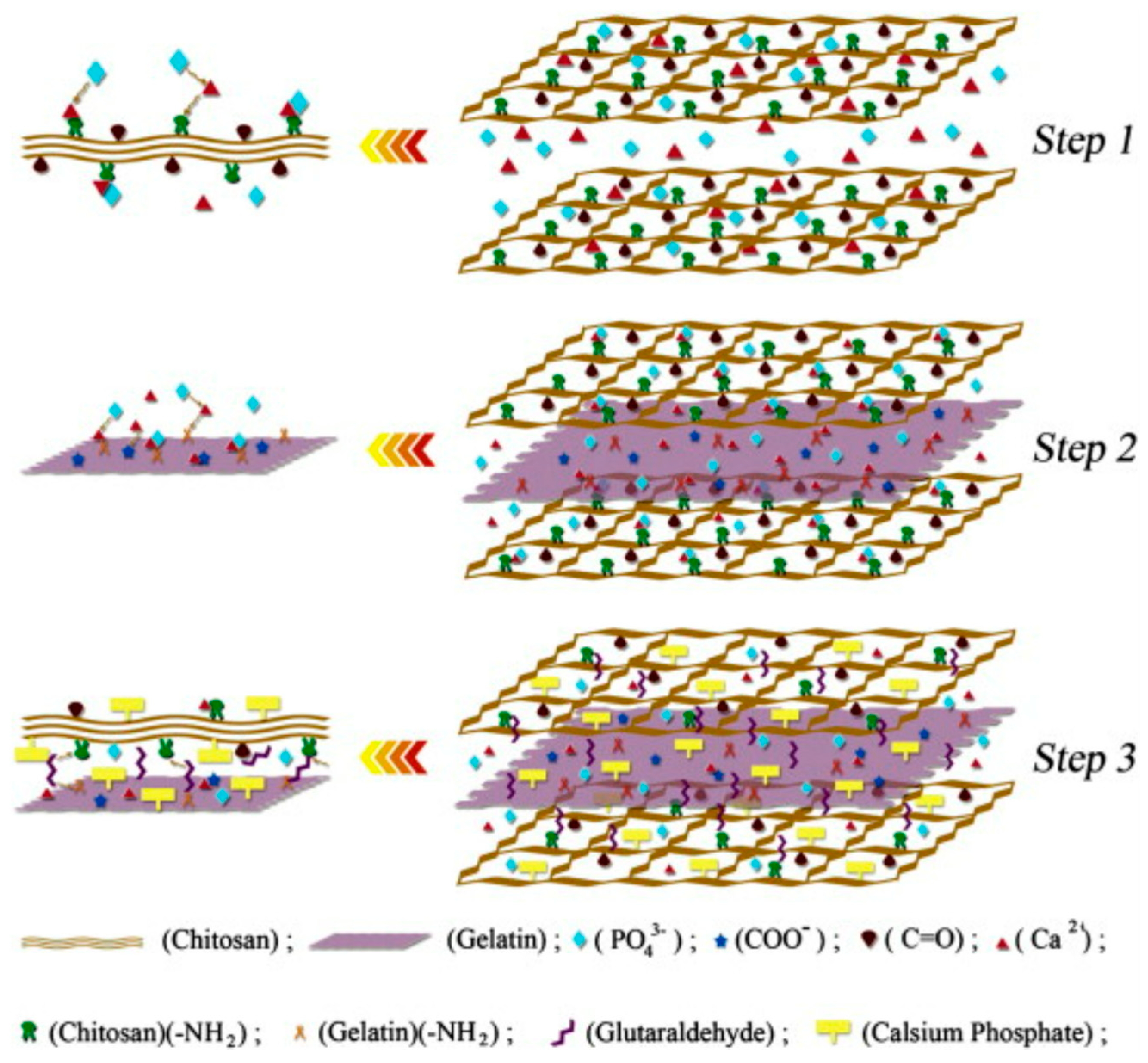 Polymers 15 02762 g008a
