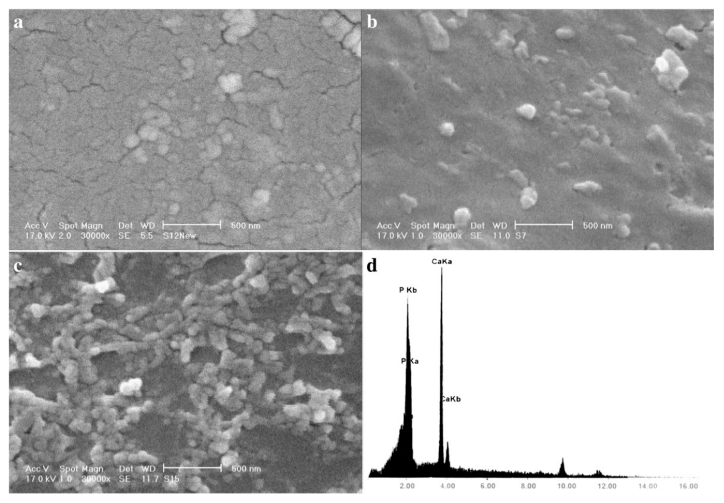 Polymers 15 02762 g008b