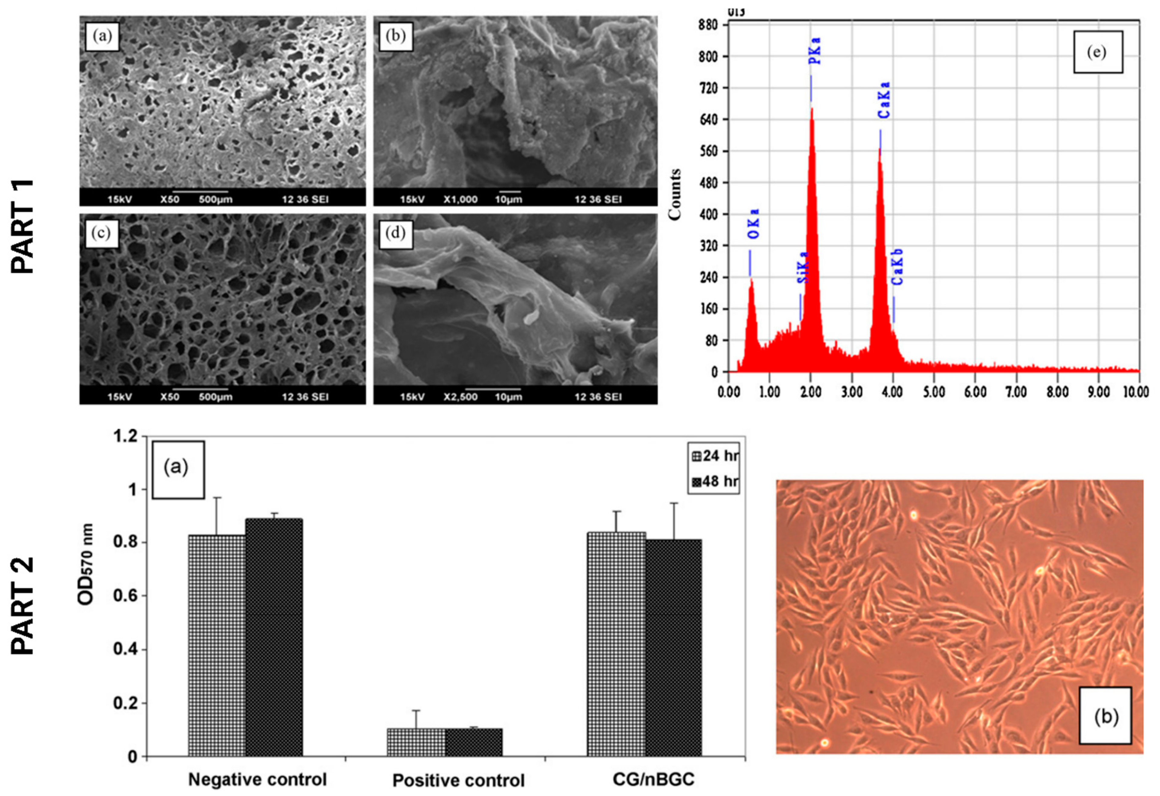 Polymers 15 02762 g009