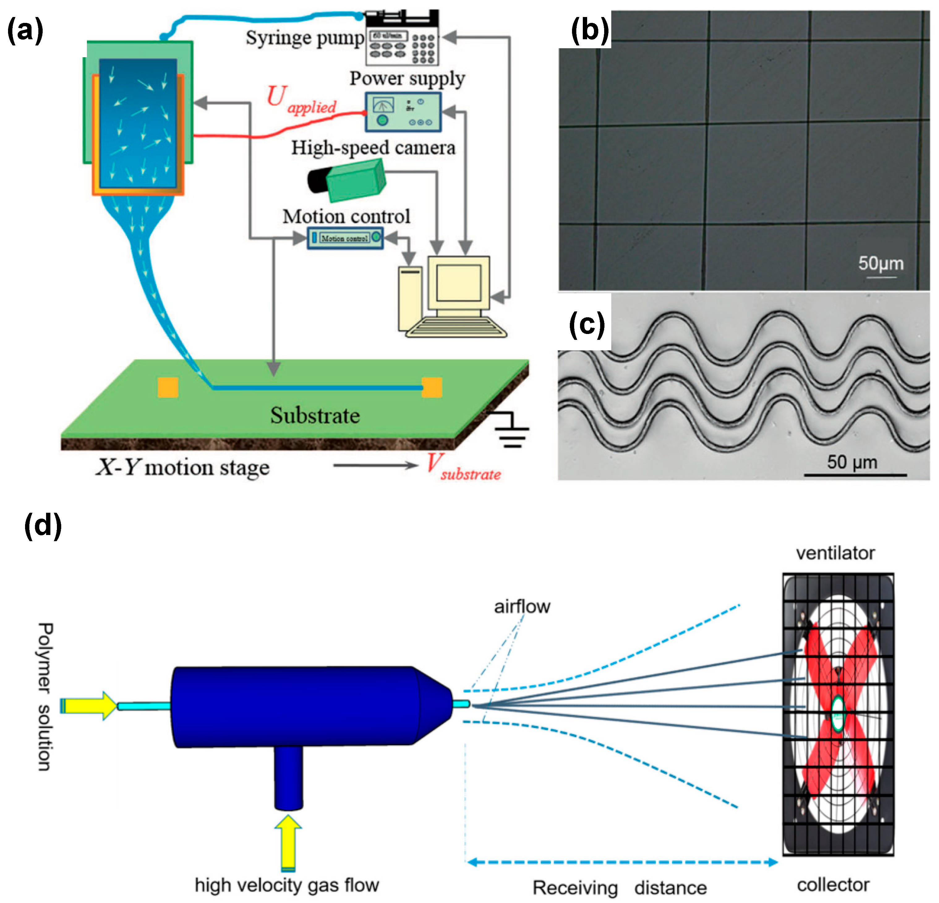 Polymers 15 02766 g004