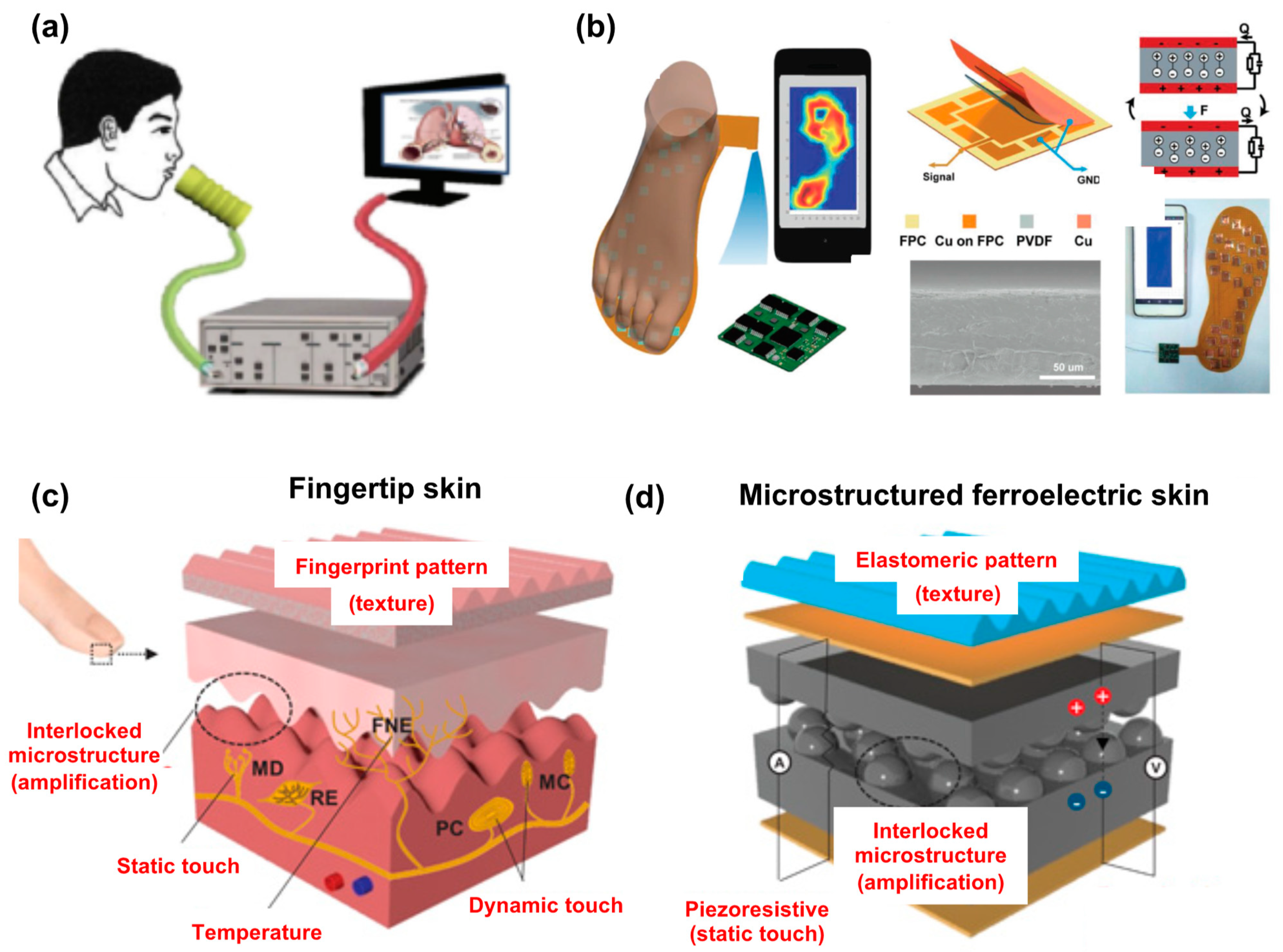 Polymers 15 02766 g008
