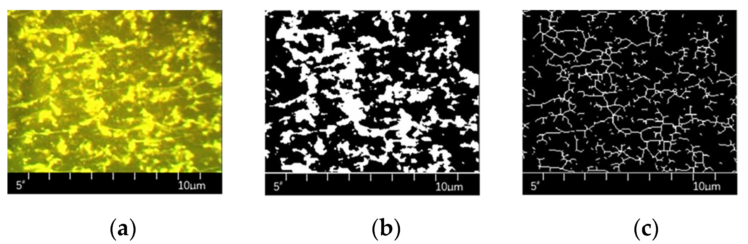 Polymers 15 02768 g007 Polymers 15 02768 g007