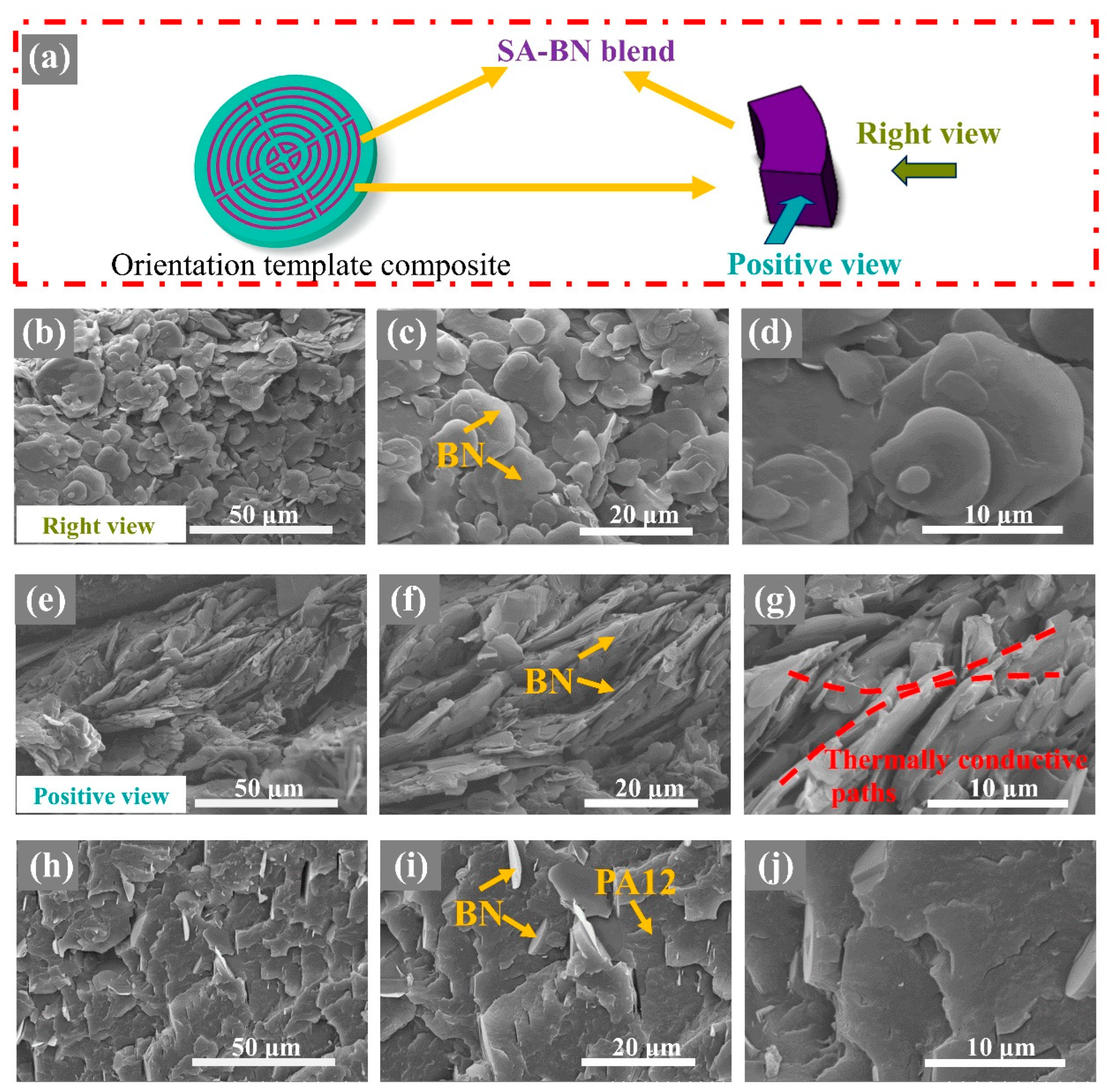 Polymers 15 02780 g003