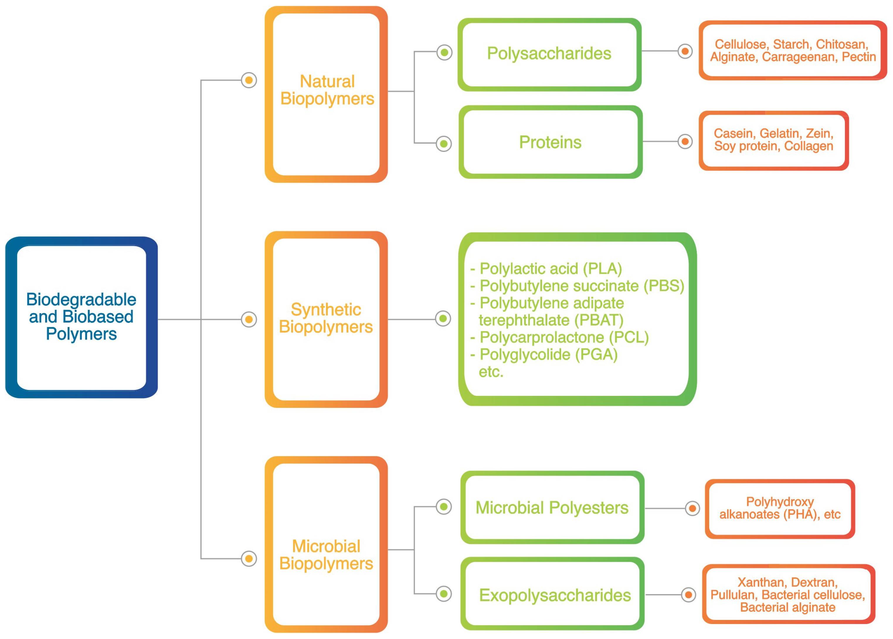 Polymers 15 02781 g003 Polymers 15 02781 g003