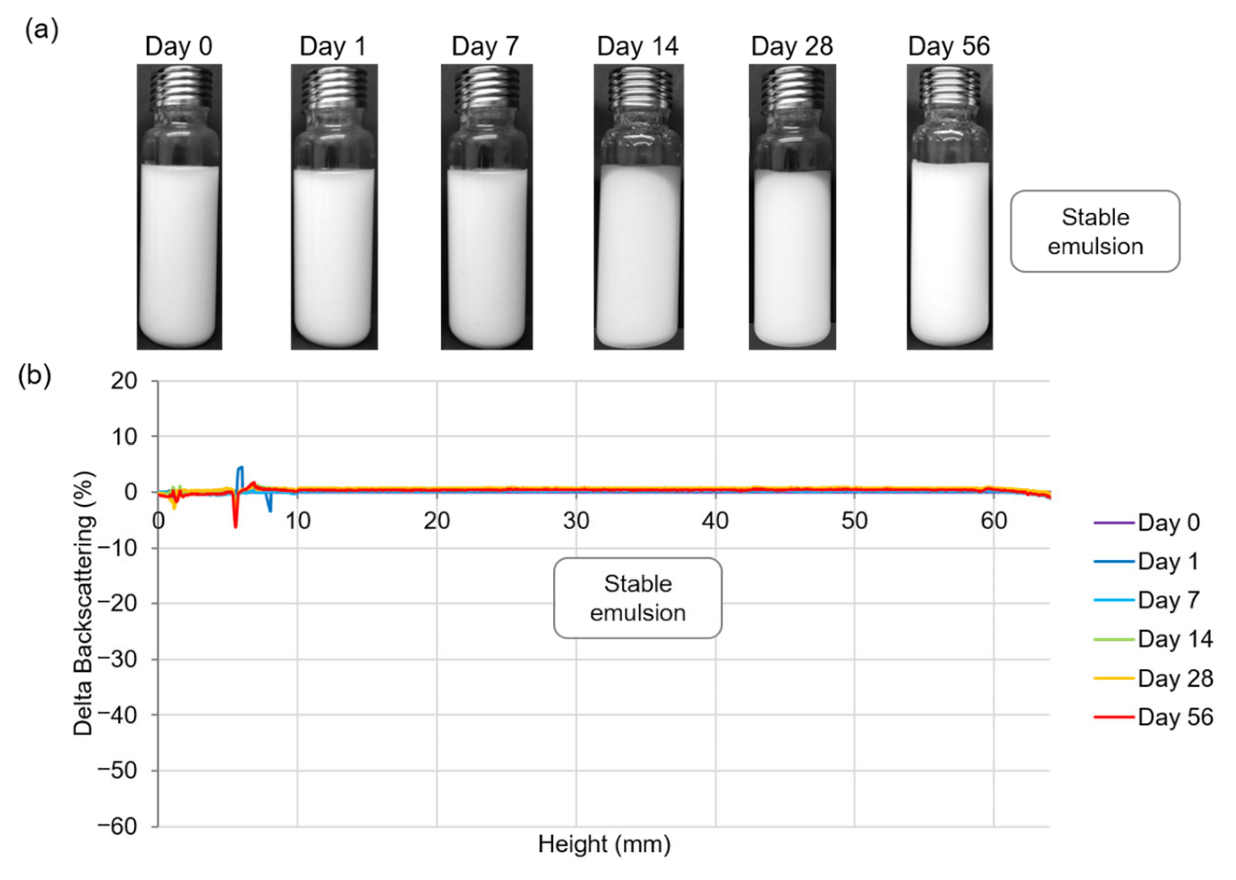 Polymers 15 02783 g002