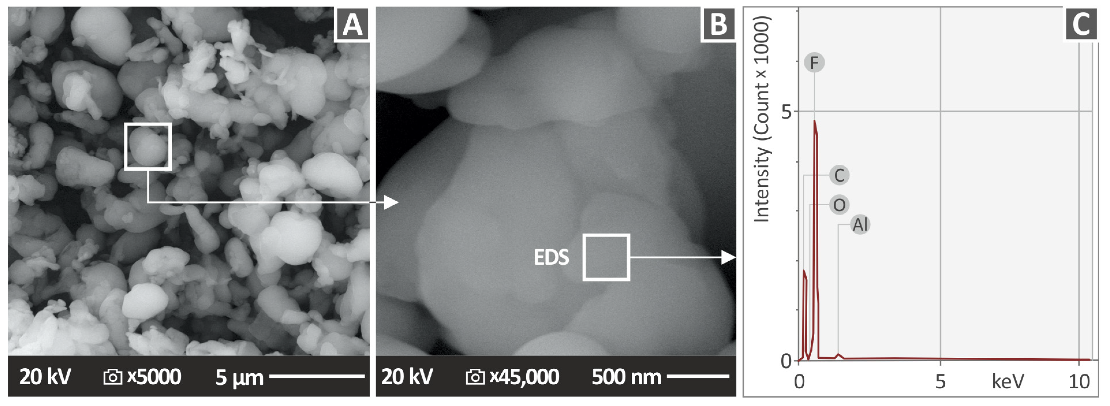 Polymers 15 02786 g002