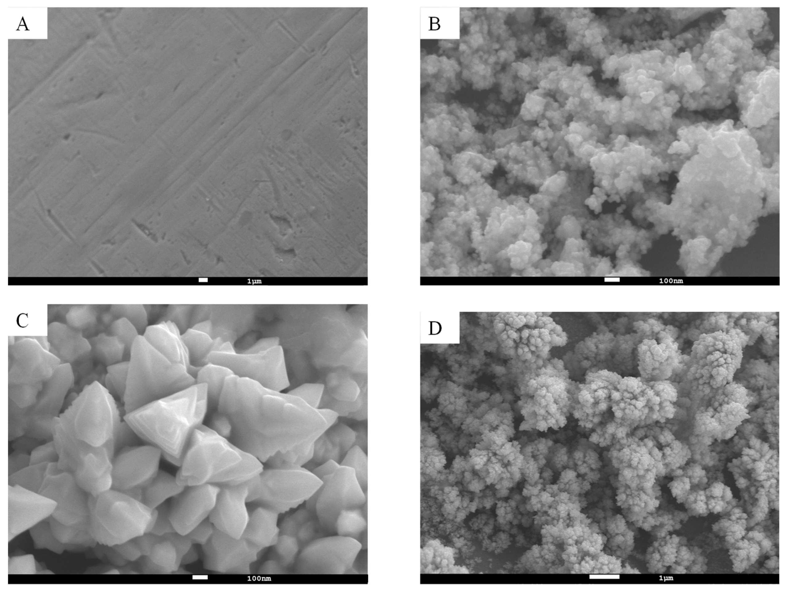 Polymers 15 02796 g001 Polymers 15 02796 g001