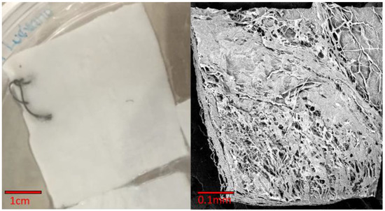 Polymers 15 02797 g0a3