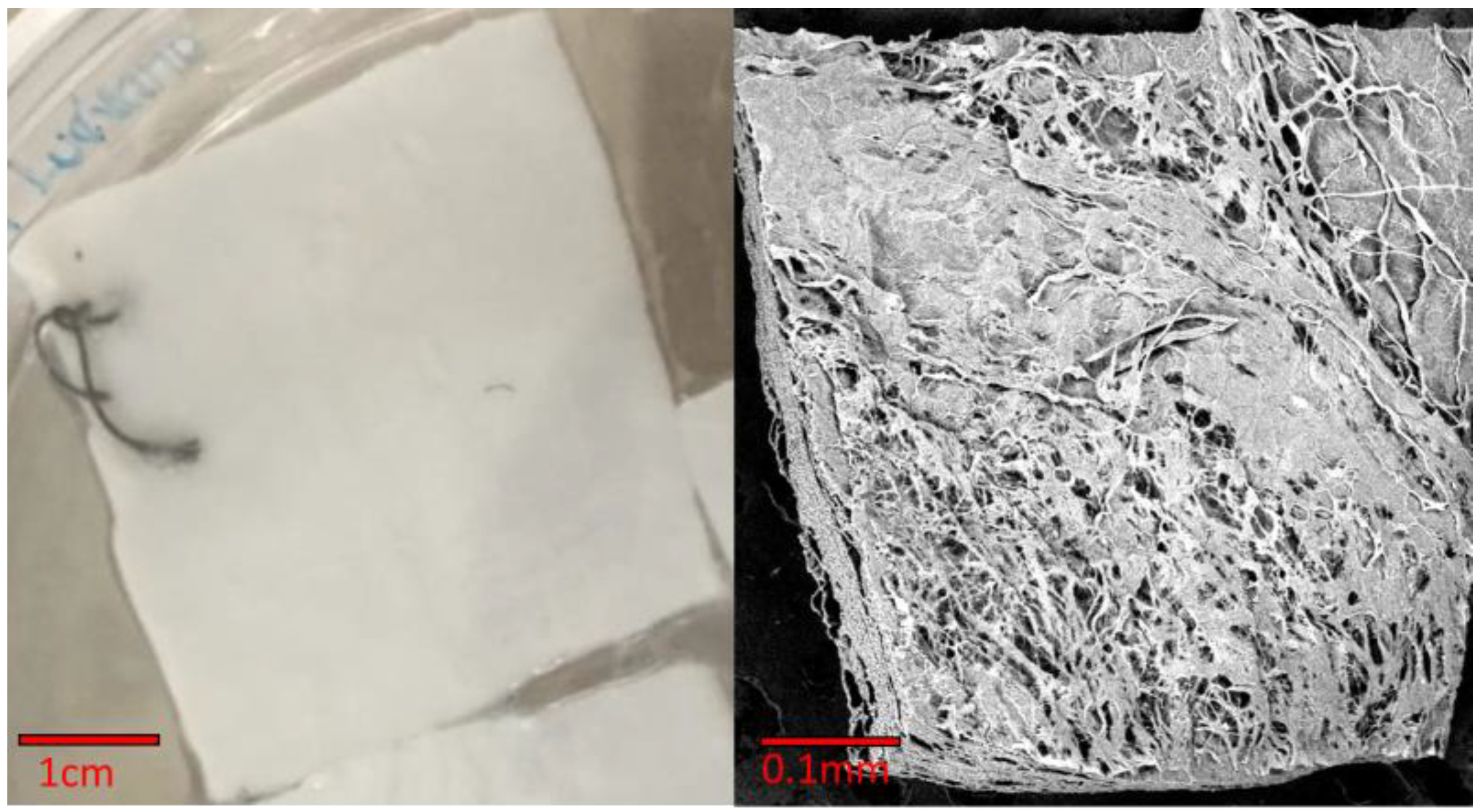 Polymers 15 02797 g0a3