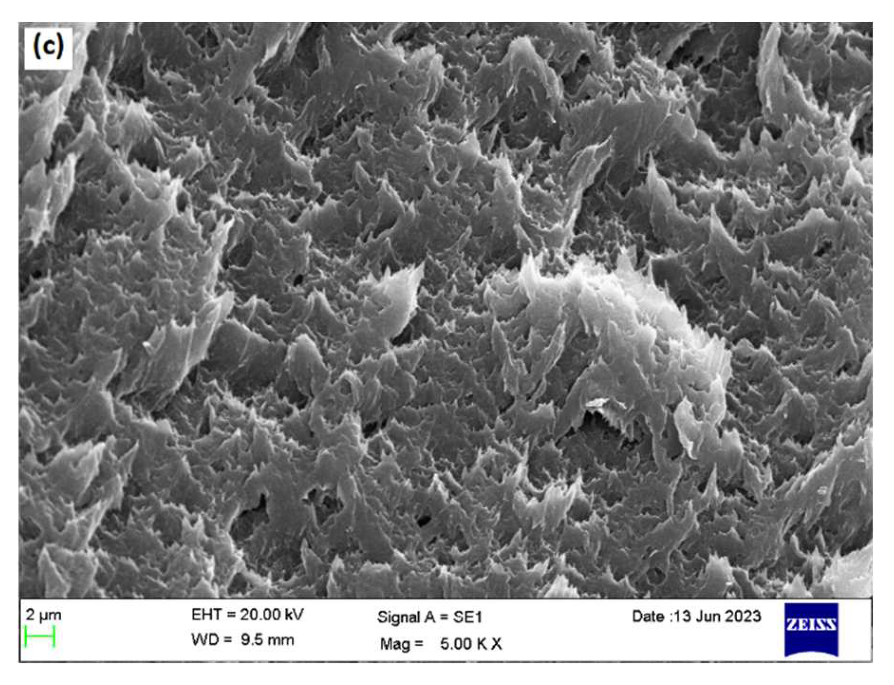 Polymers 15 02821 g009b