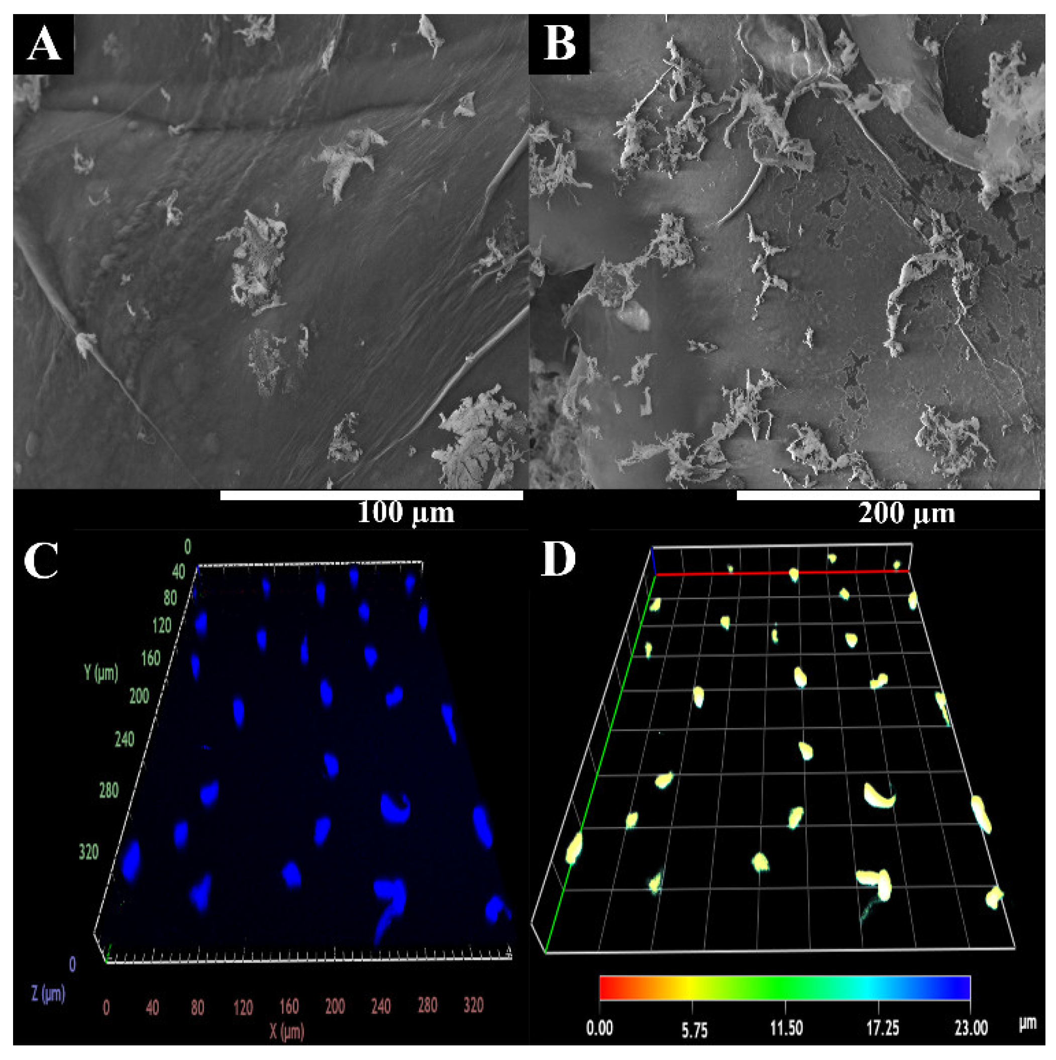 Polymers 15 02824 g007