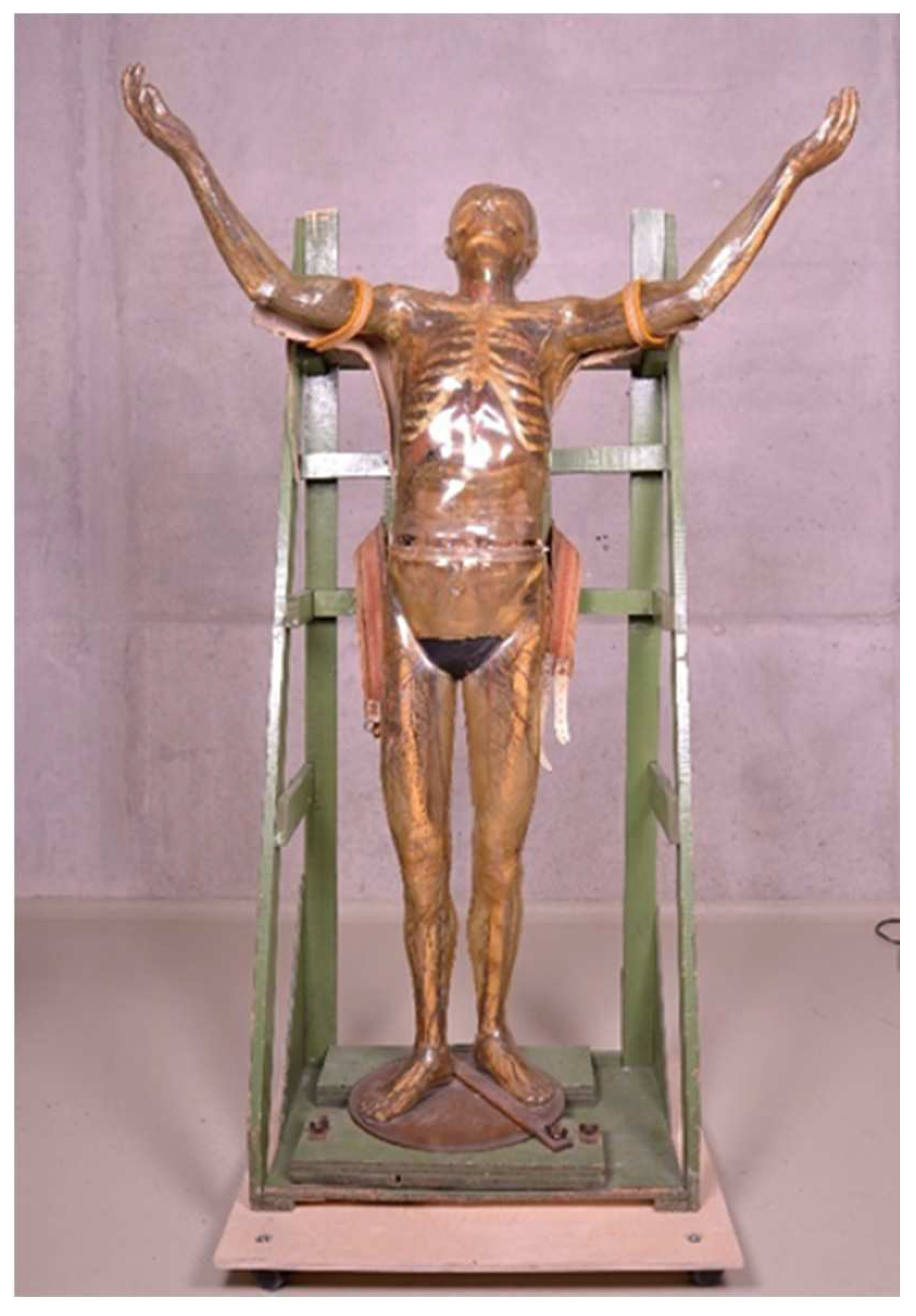 Polymers 15 02838 g001 Polymers 15 02838 g001