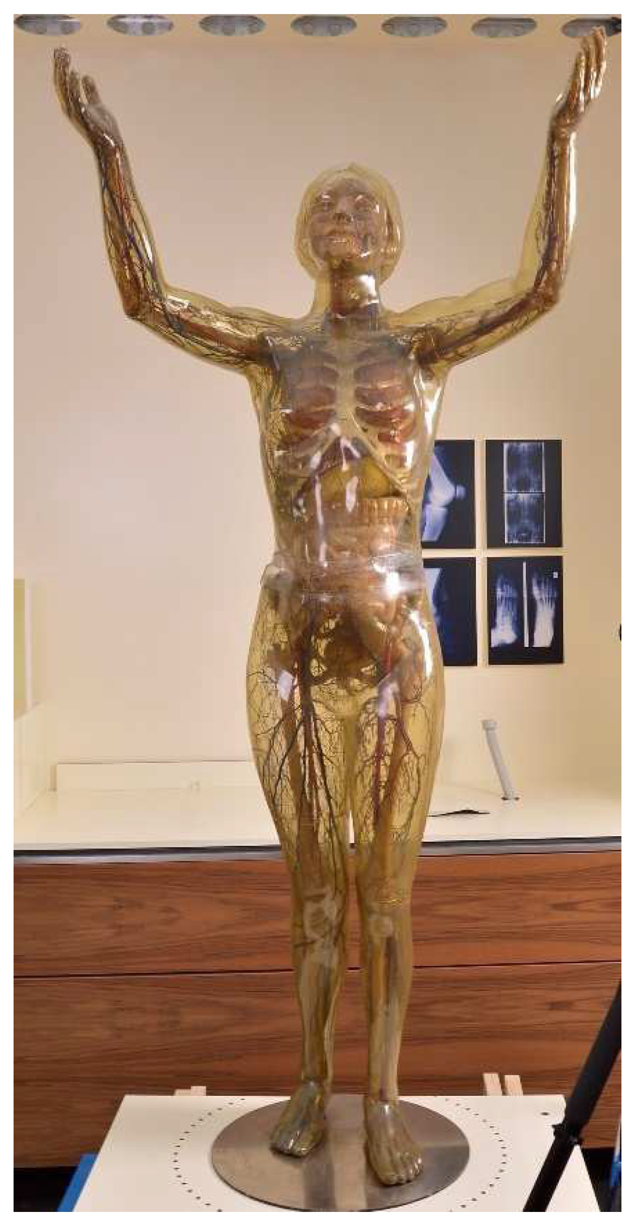 Polymers 15 02838 g002 Polymers 15 02838 g002