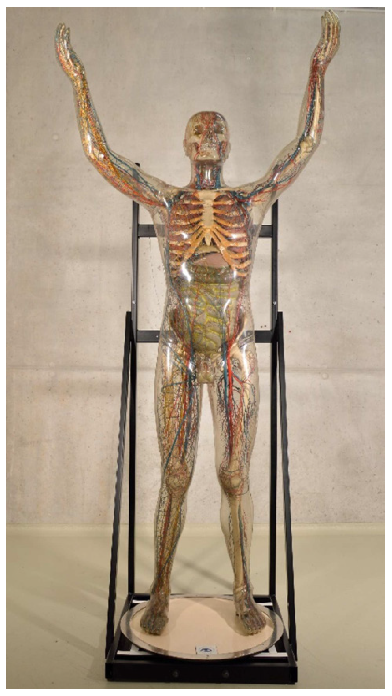 Polymers 15 02838 g004 Polymers 15 02838 g004