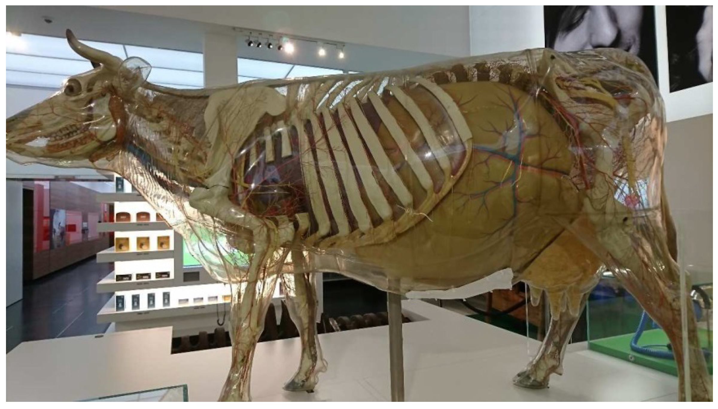 Polymers 15 02838 g005 Polymers 15 02838 g005