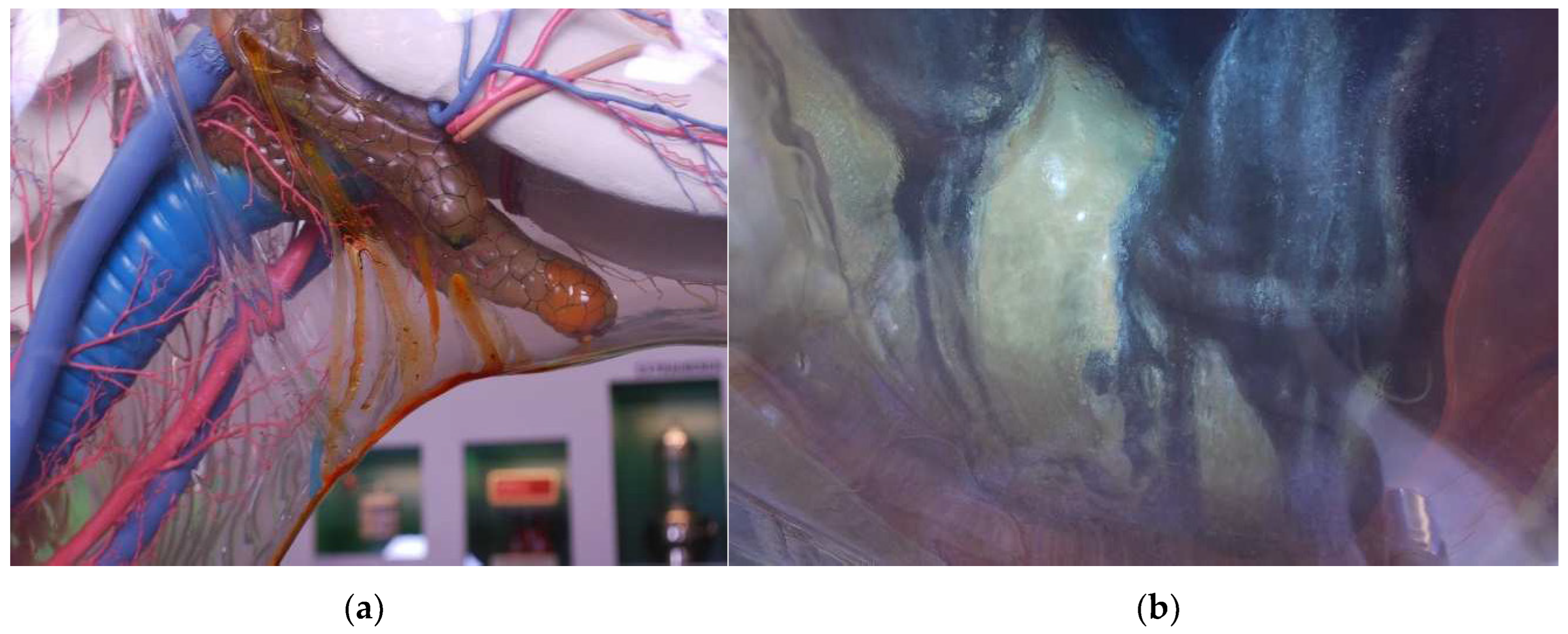 Polymers 15 02838 g006 Polymers 15 02838 g006