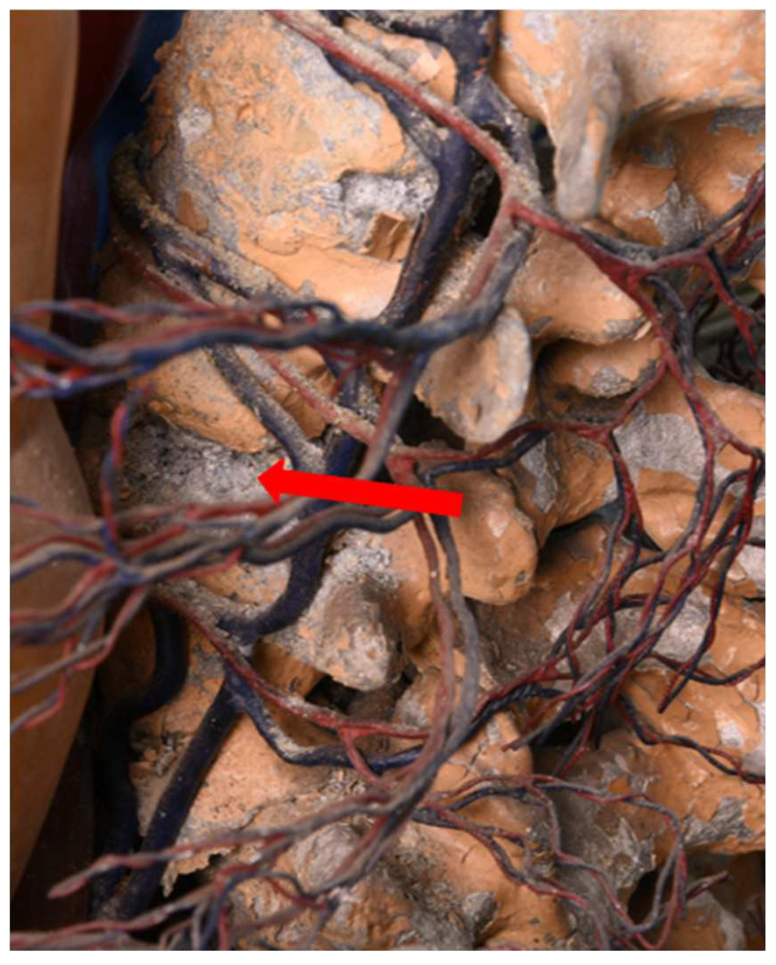 Polymers 15 02838 g014 Polymers 15 02838 g014