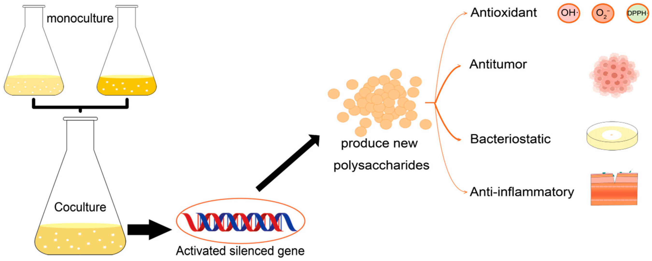 Polymers 15 02847 g001