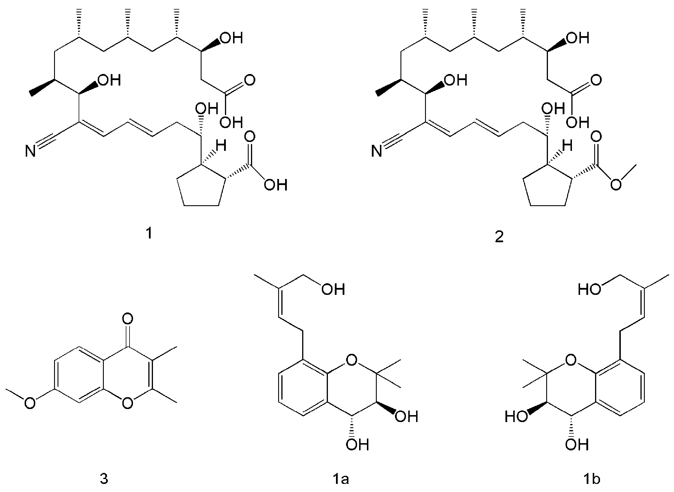 Polymers 15 02847 g002