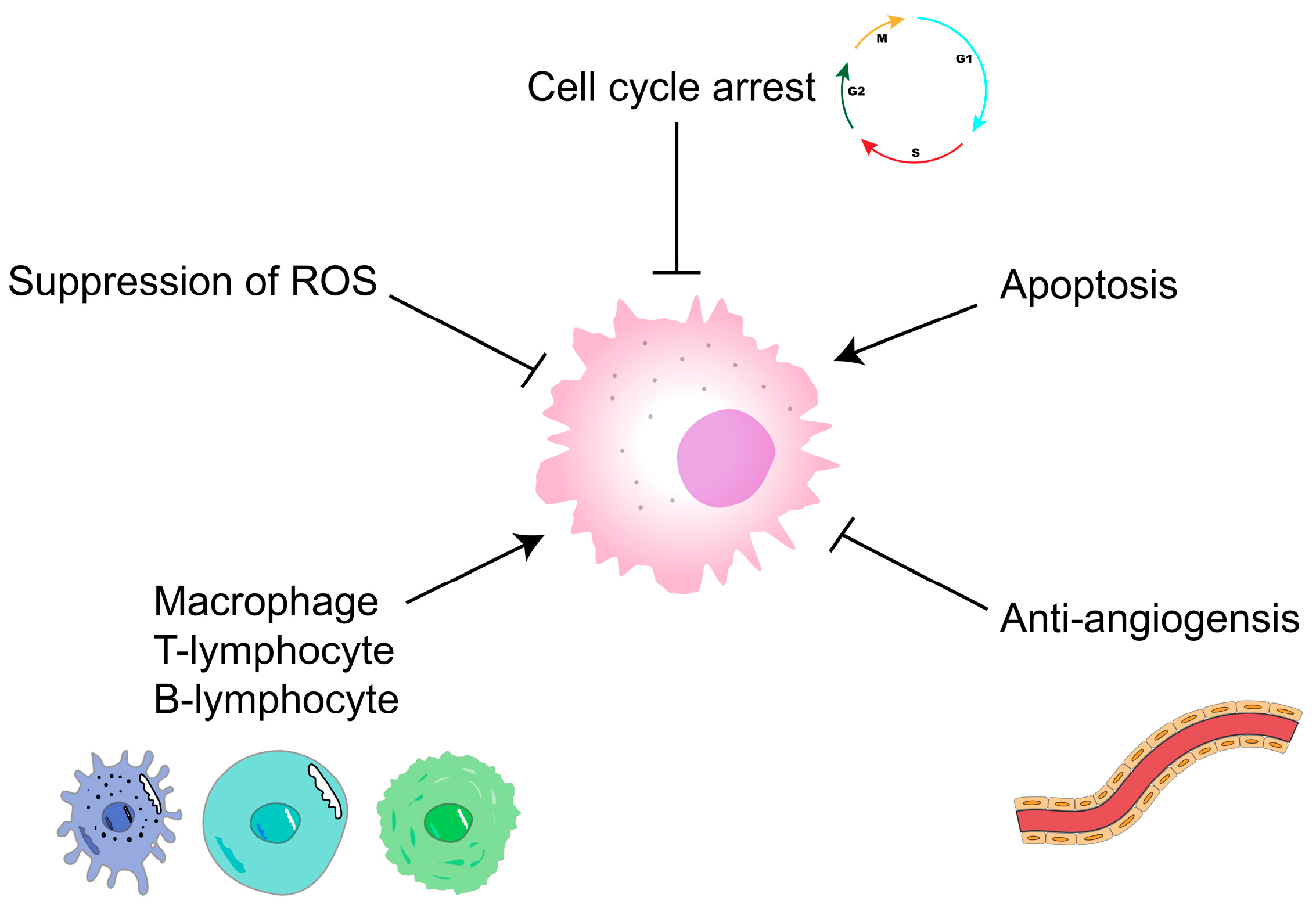 Polymers 15 02847 g004