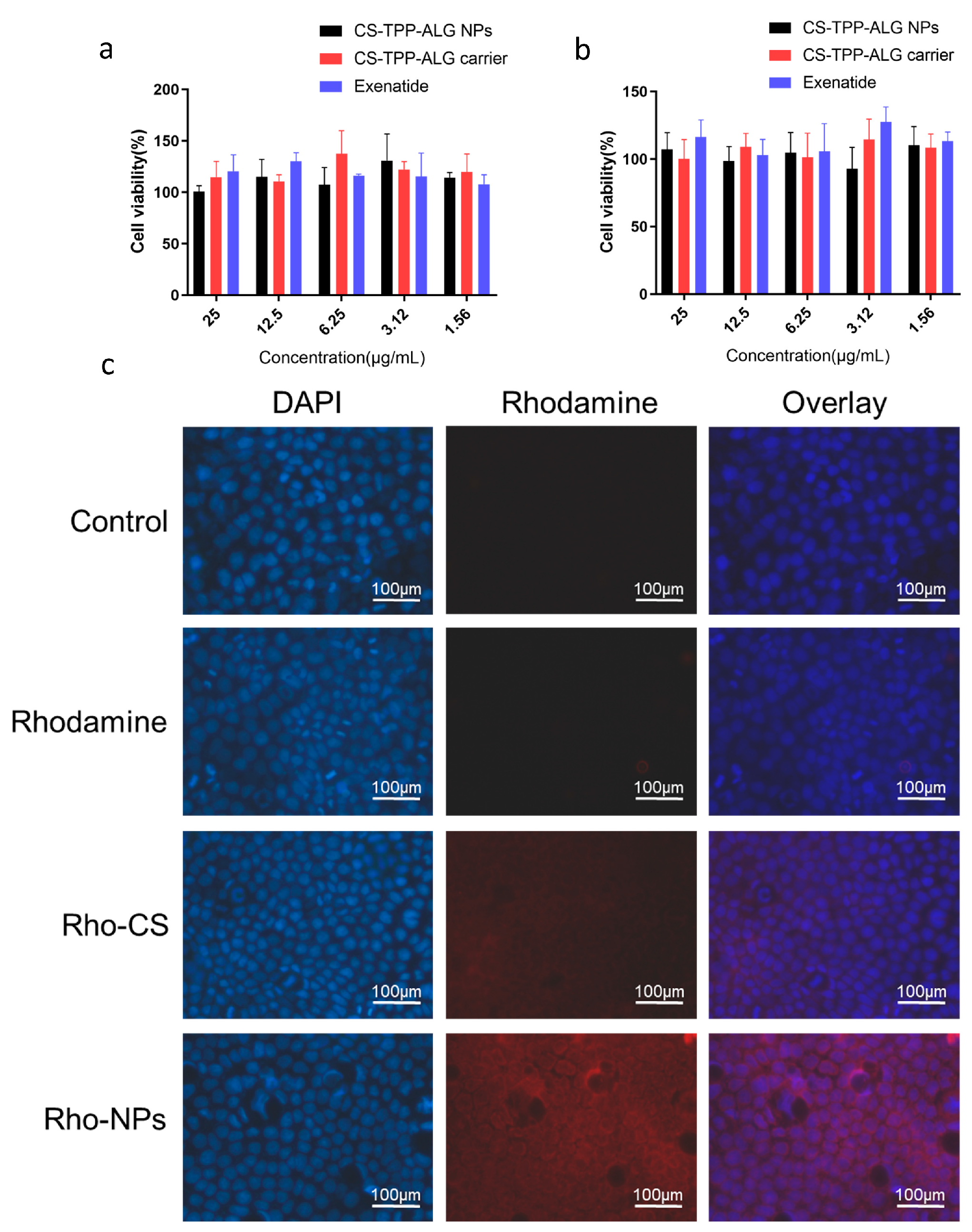 Polymers 15 02852 g003