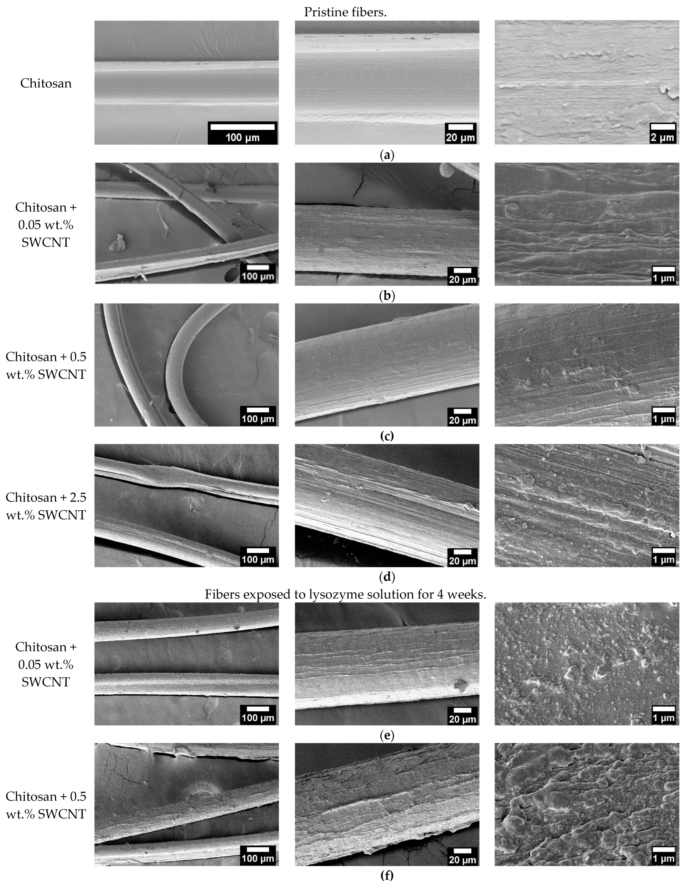 Polymers 15 02860 g003a Polymers 15 02860 g003a
