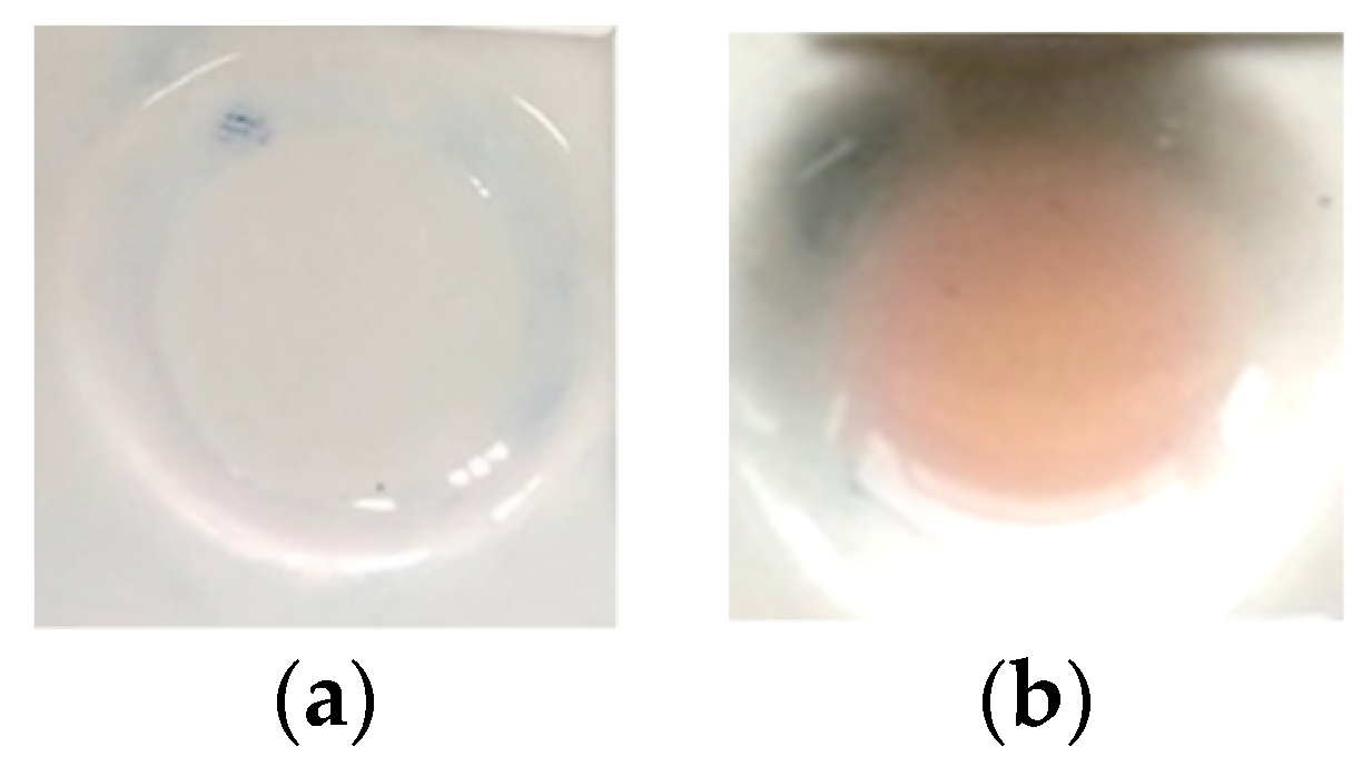 Polymers 15 02862 g001