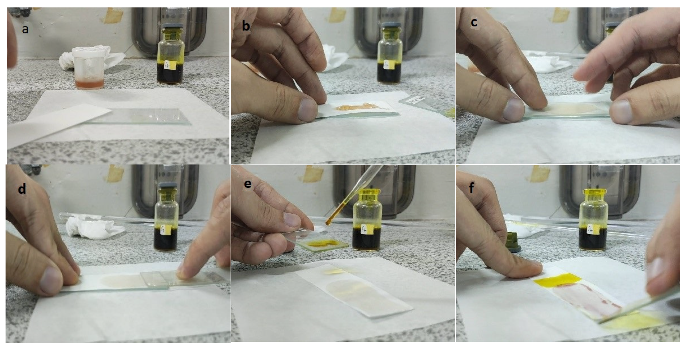 Polymers 15 02862 g002
